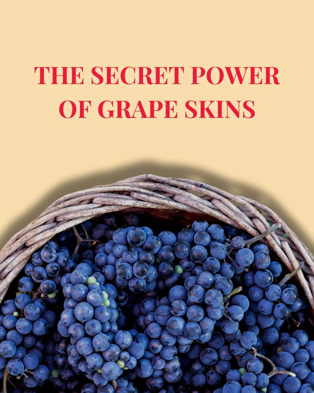 Grape skins do more than colour the wine.
They give red wines their structure, body and tannins.

In ros&eacute; and orange wines, a little skin contact goes a long way.

Learn how maceration impacts flavour and texture. Join us for a WSET class! Lin