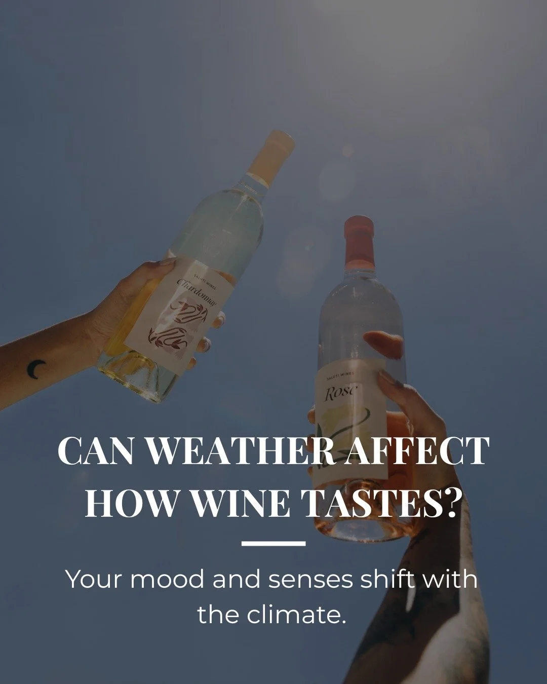 Warm sunshine or a cool breeze can influence how wine feels on your palate. 

On a hot day, a crisp white or sparkling wine may seem more refreshing, while cooler weather can make a full-bodied red feel richer and more inviting.

#winetasting
#wine
#