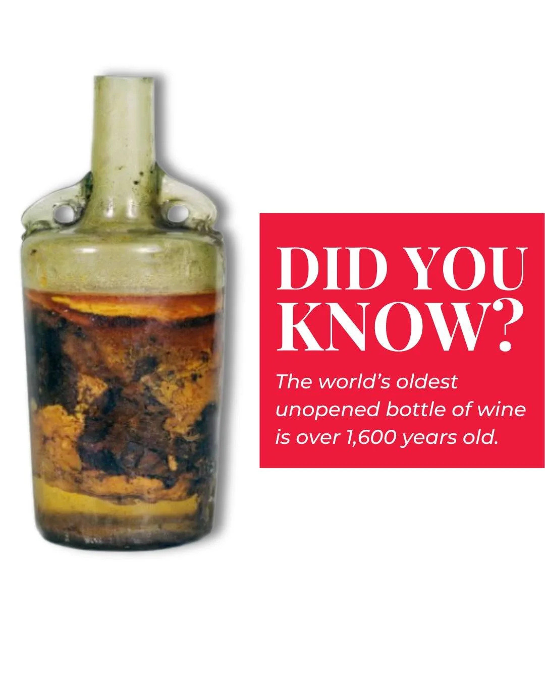 The world’s oldest unopened bottle of wine is over 1,600 years old.
Discovered in Germany, the Speyer wine bottle dates back to the 4th century AD. Sealed with wax and olive oil, it has survived centuries untouched.
Discover the history and s