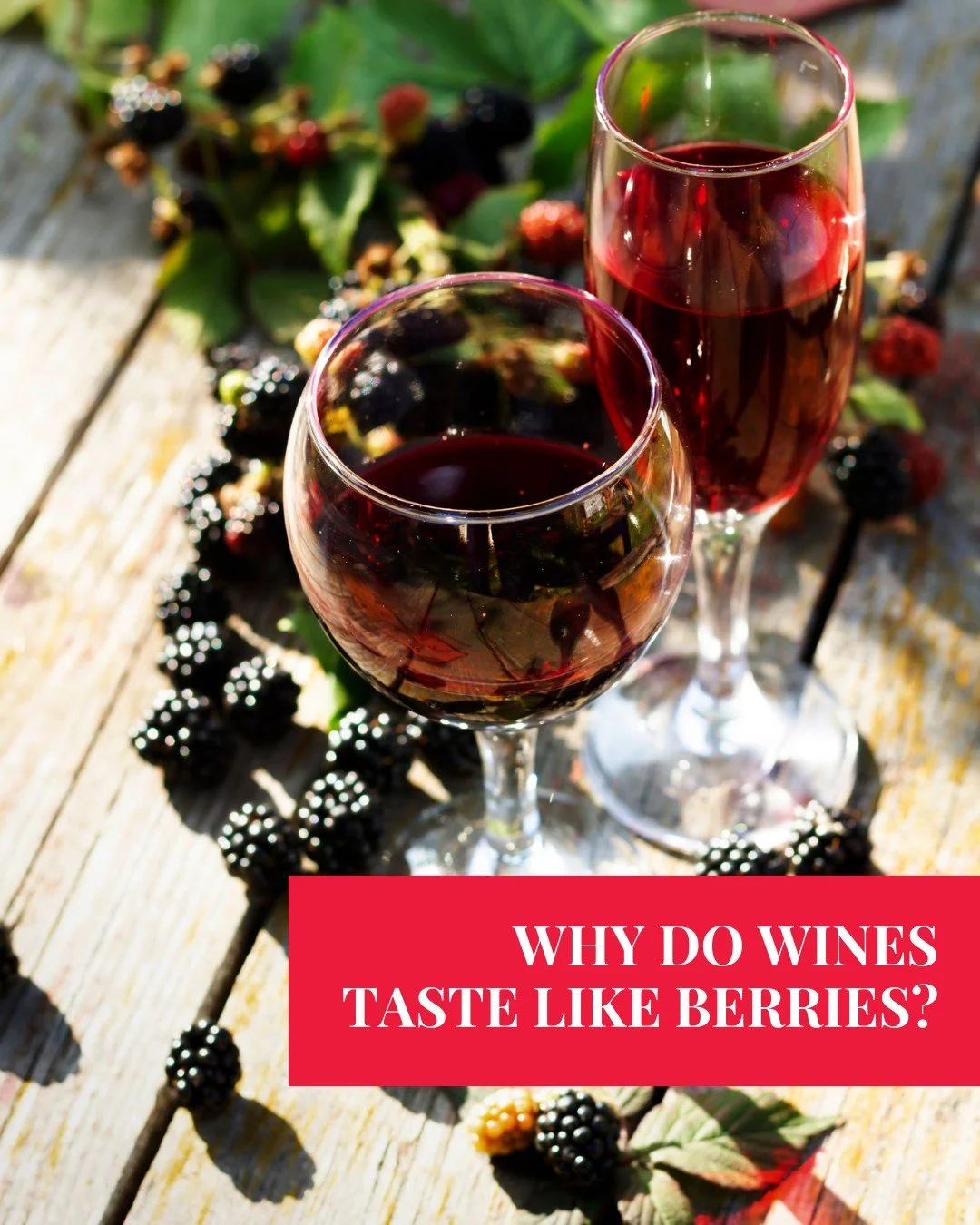 Wines often remind us of fruits like cherries blackberries or strawberries, but no fruit is added.

These flavours come from natural compounds in the grapes, fermentation, and ageing.

It is one of the wonders of wine.

Train your palate to identify 