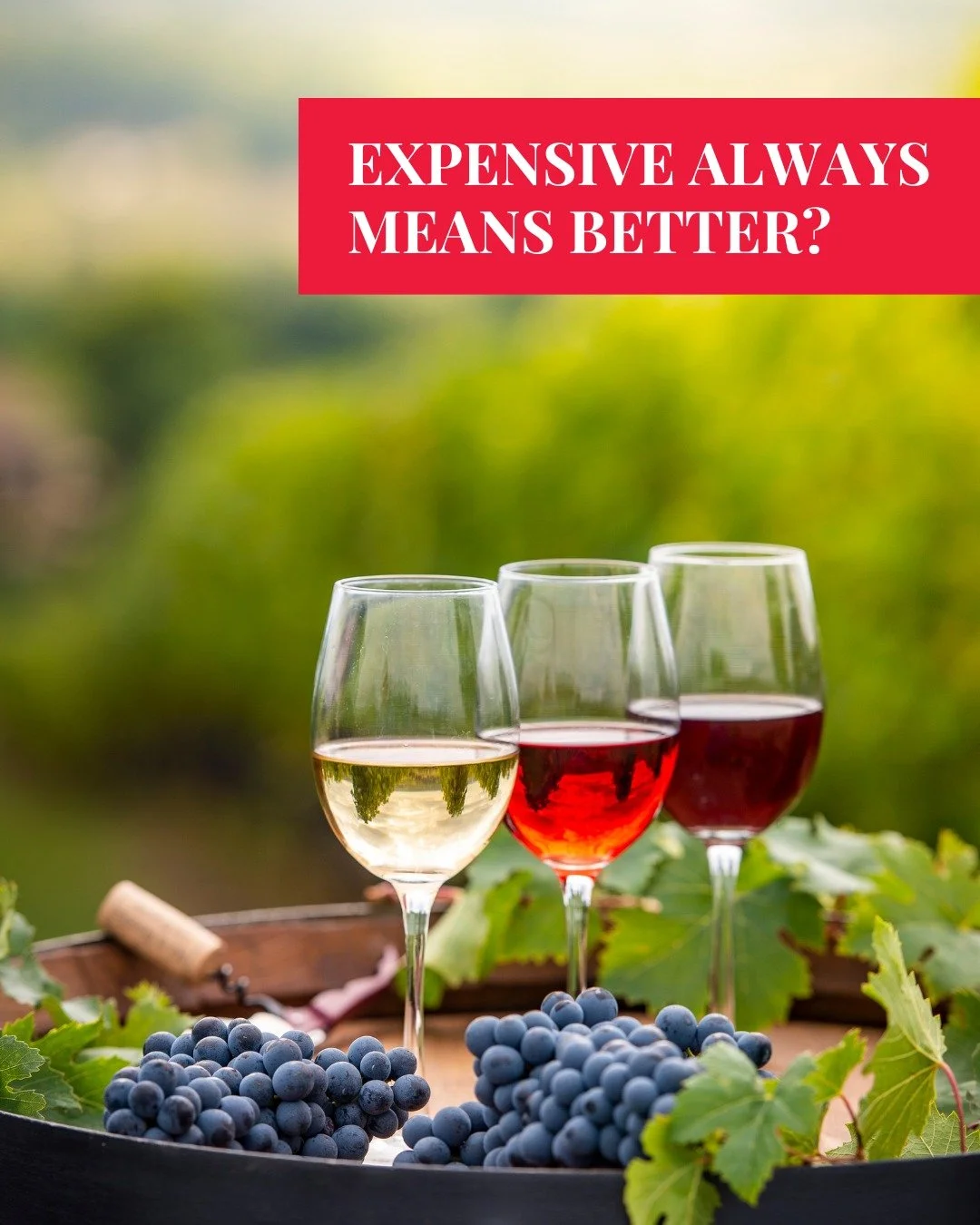 Price doesn&rsquo;t always equal pleasure.

A great wine is about balance, craftsmanship and character, not just cost.

Sometimes, affordable bottles offer the most surprising complexity.

Taste widely, trust your palate and find the wines that speak