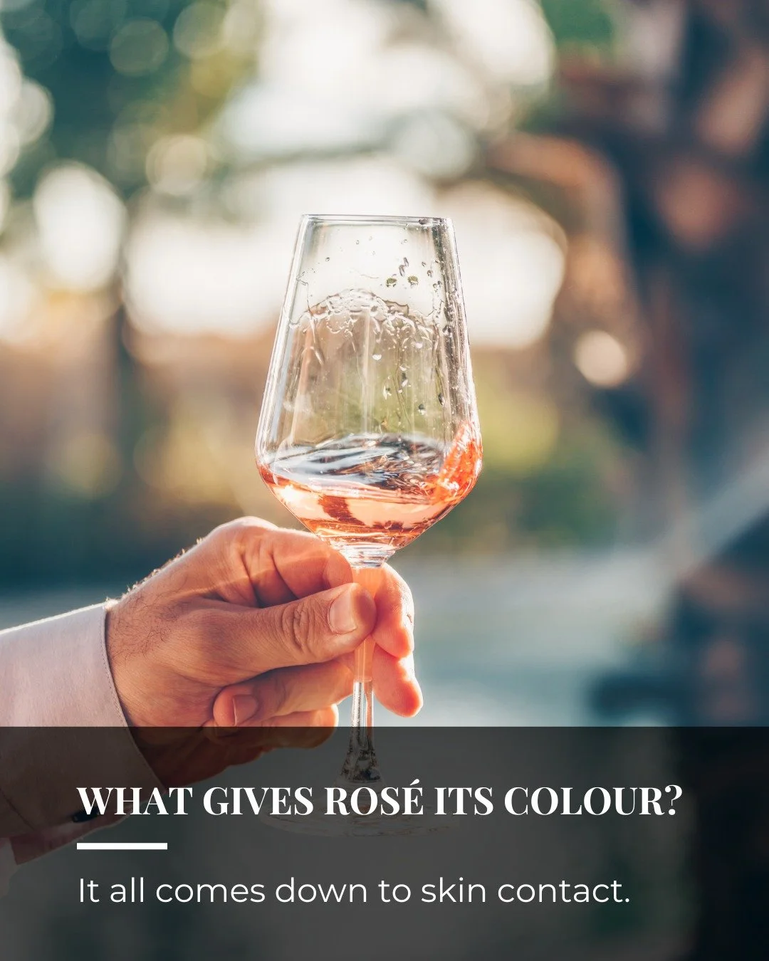 Ros&eacute; gets its pink hue from brief contact between grape skins and juice during fermentation.

The longer the contact, the deeper the colour and flavour.

Some winemakers even blend a touch of red into white for a lighter style, but true ros&ea