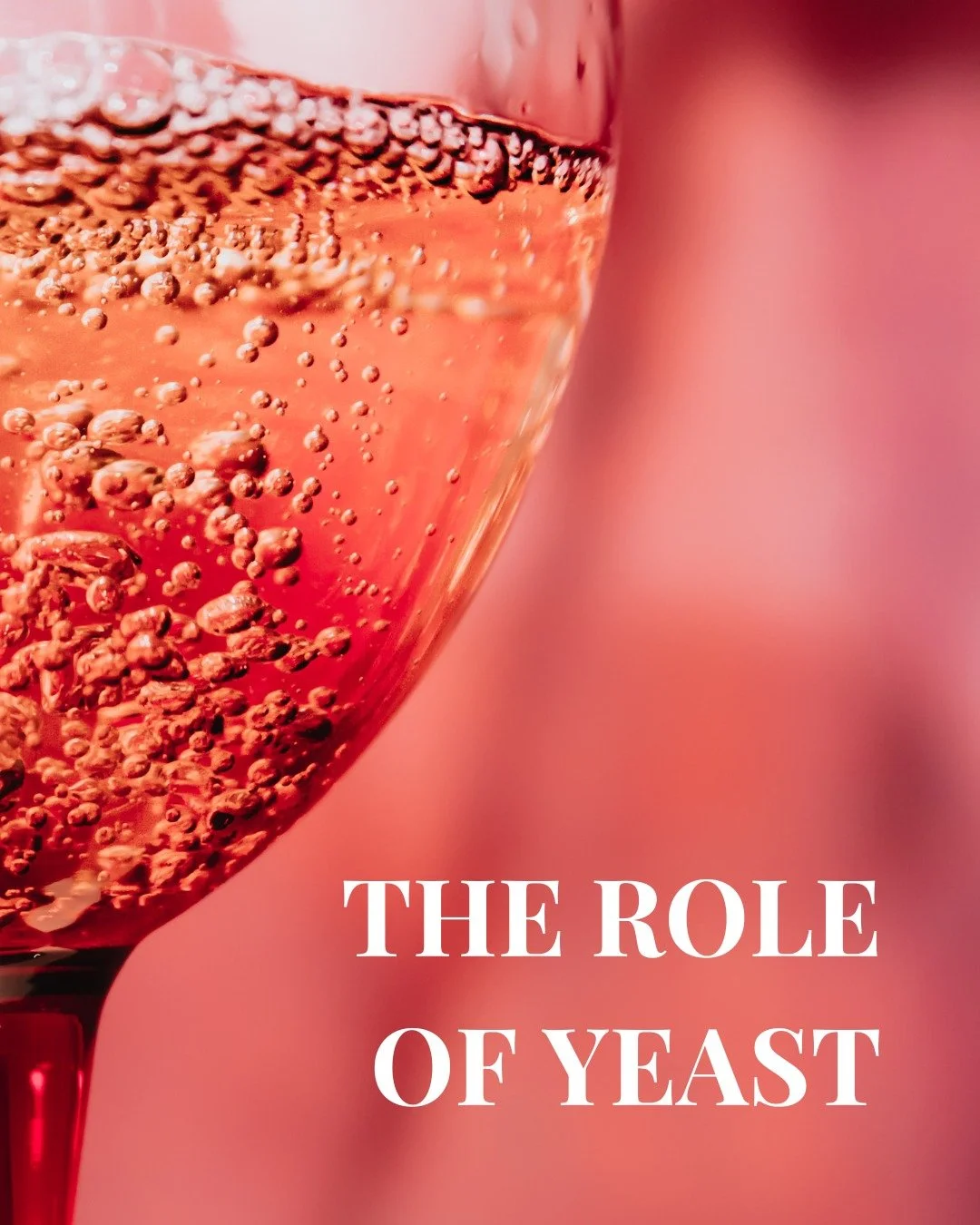 Yeast is the tiny powerhouse behind every bottle of wine.

It converts grape sugar into alcohol during fermentation, creating flavour and texture along the way.

Different yeast strains can highlight fruity, floral or toasty notes, shaping the person