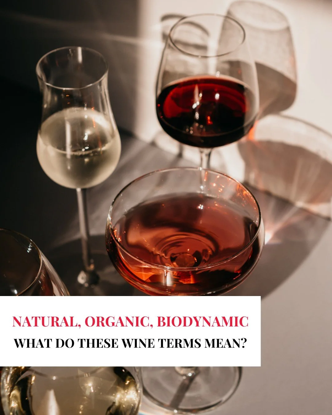 These terms might sound similar, but they each tell a different story.

Natural wines are made with minimal intervention, organic wines avoid synthetic chemicals and biodynamic wines follow lunar and ecological rhythms.

All three focus on authentici