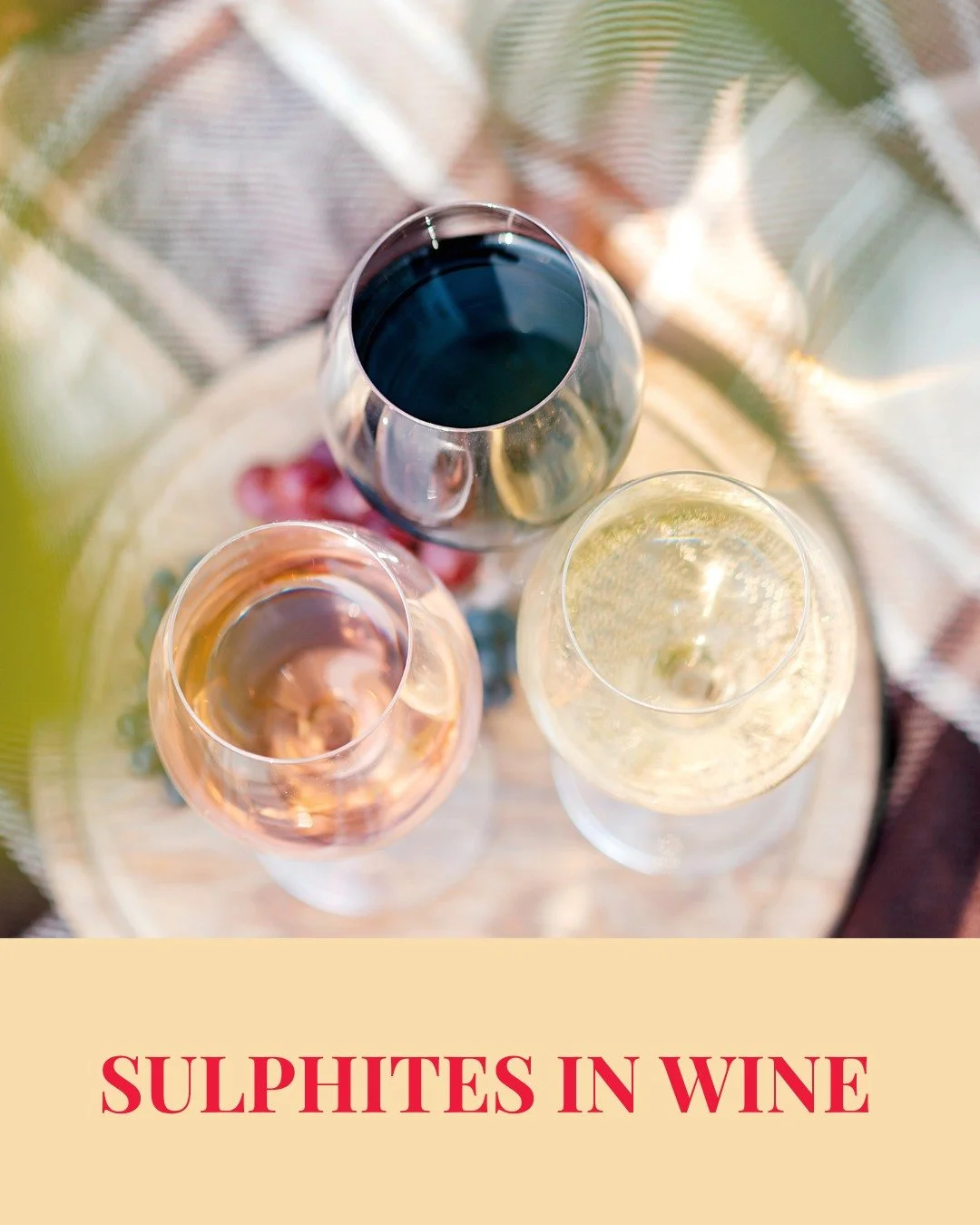 Sulphites play a vital role in protecting wine from oxidation and bacterial spoilage, helping it stay fresh and stable.

While most wines contain small amounts naturally, winemakers may add more to extend shelf life and preserve aroma.

Only a small 