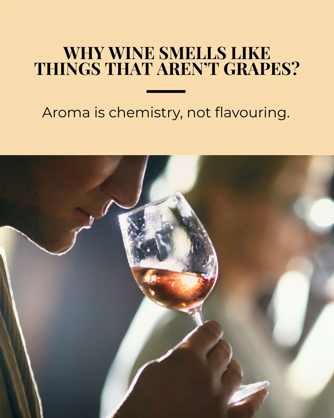 Because aroma is chemistry, not flavouring.

Yeast, fermentation, ageing, and even grape compounds create aromatic molecules that our brains recognise as citrus, flowers, herbs, spice, toast, or earth. 

The fun part is learning to translate that int