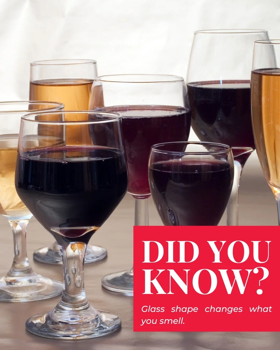 A narrower rim funnels aroma, a wider bowl gives more surface area and can amplify intensity.

That&rsquo;s why the same wine can feel more fragrant in one glass and more muted in another.

If you only have one glass at home, choose a medium-sized tu