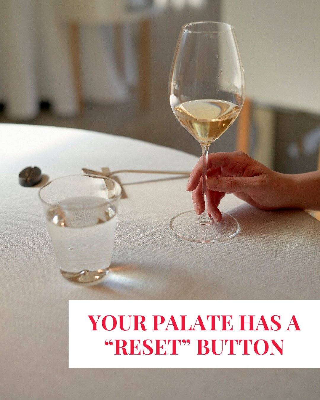 Ever feel like your second sip suddenly tastes better? That&rsquo;s your palate waking up.

A quick reset between wines helps you taste what&rsquo;s actually in the glass, not what the last sip left behind.
Try this simple routine:

A sip of water

A