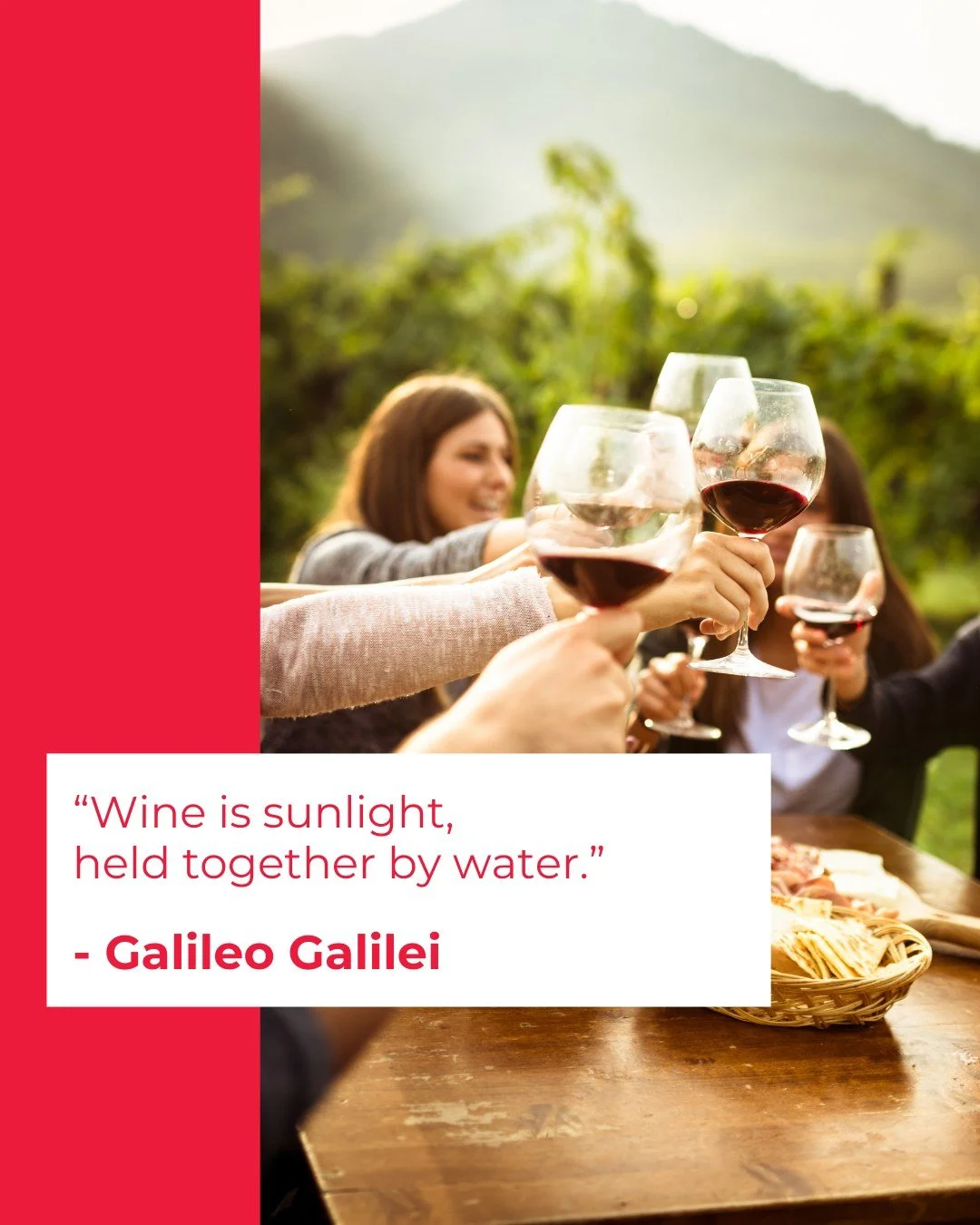 &ldquo;Wine is sunlight, held together by water.&rdquo;
Galileo Galilei somehow captured the magic and the science in one line. Every glass starts in the vineyard, shaped by light, weather and time, then ends up as something we get to share at the ta