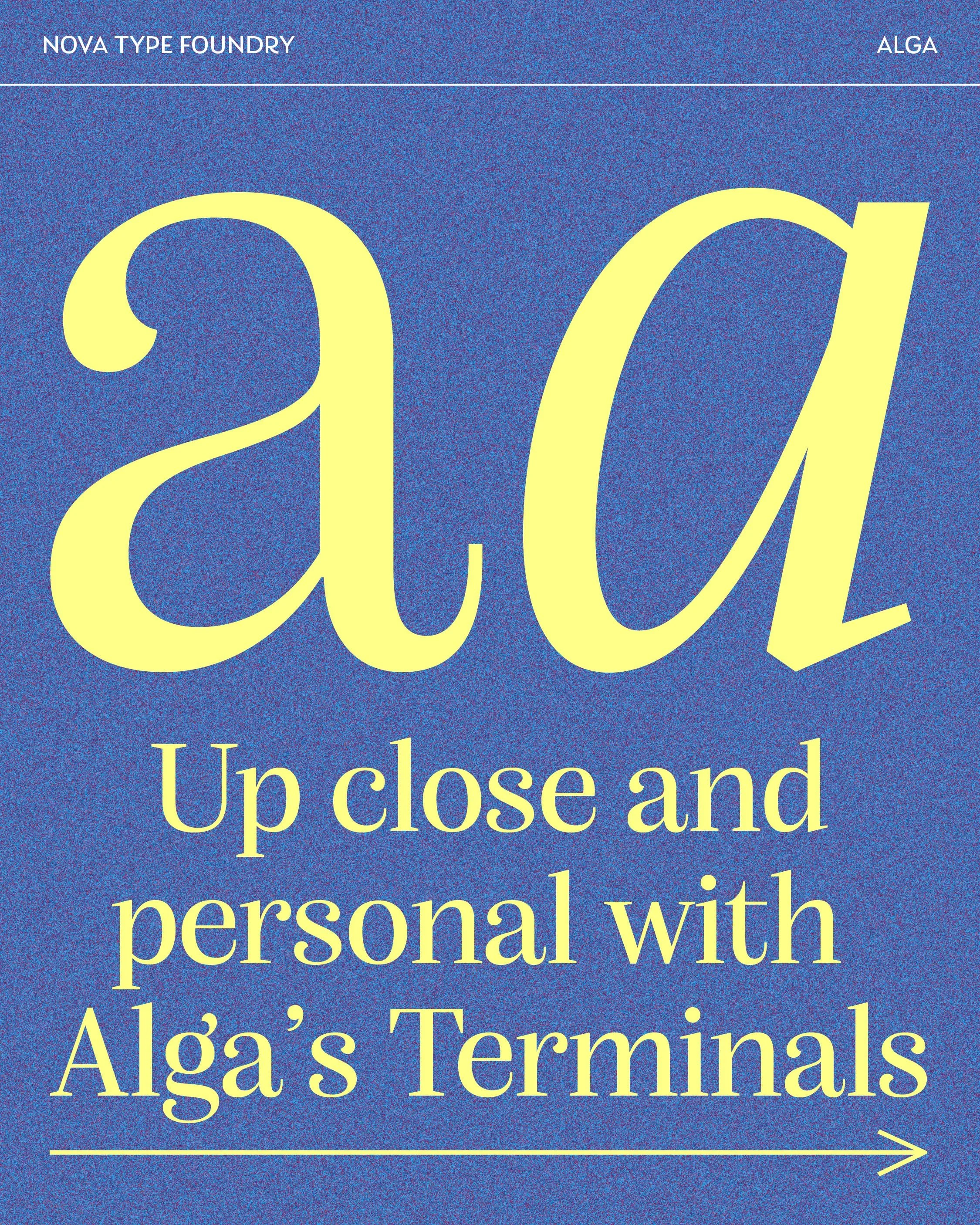 alga-01.jpg