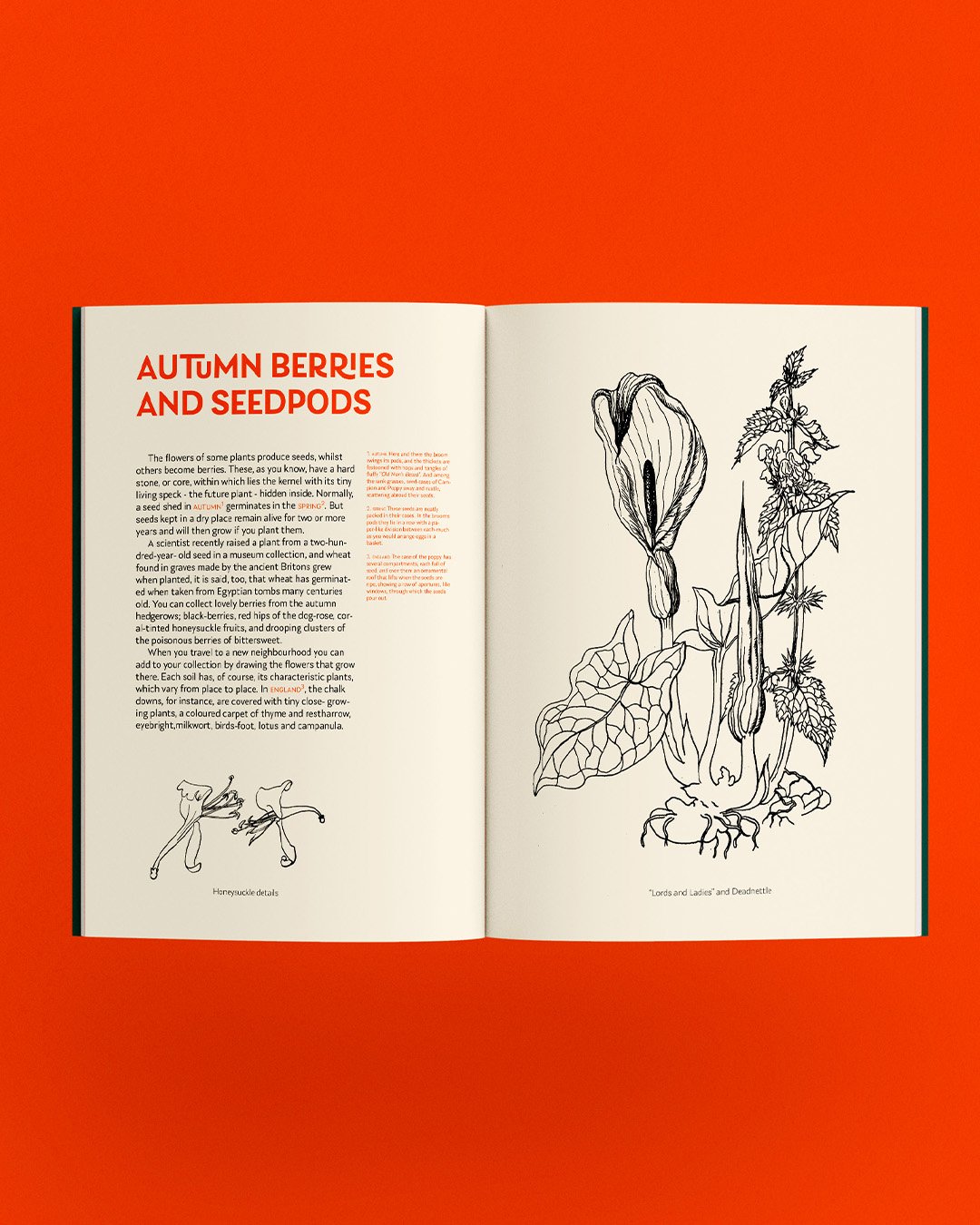 Mockup_livro_paginas internas_Laca Pro_Laca Text_02.jpg