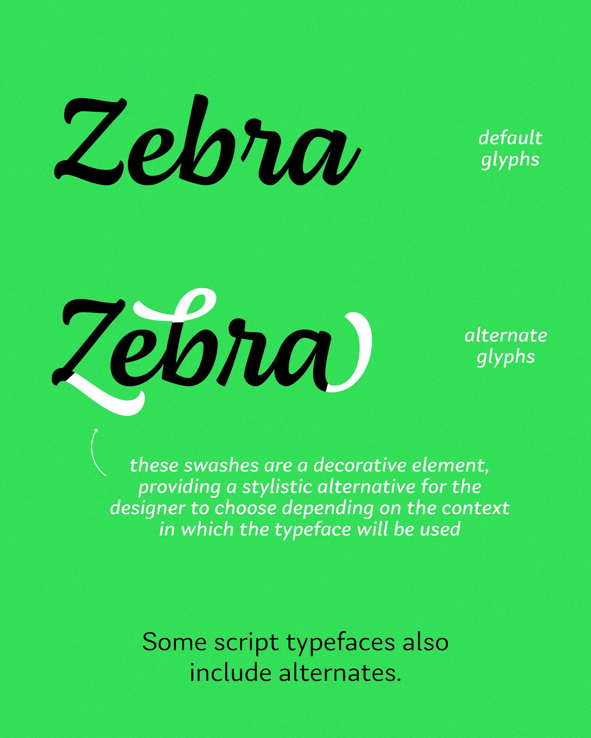 Glossario_Script_07.jpg