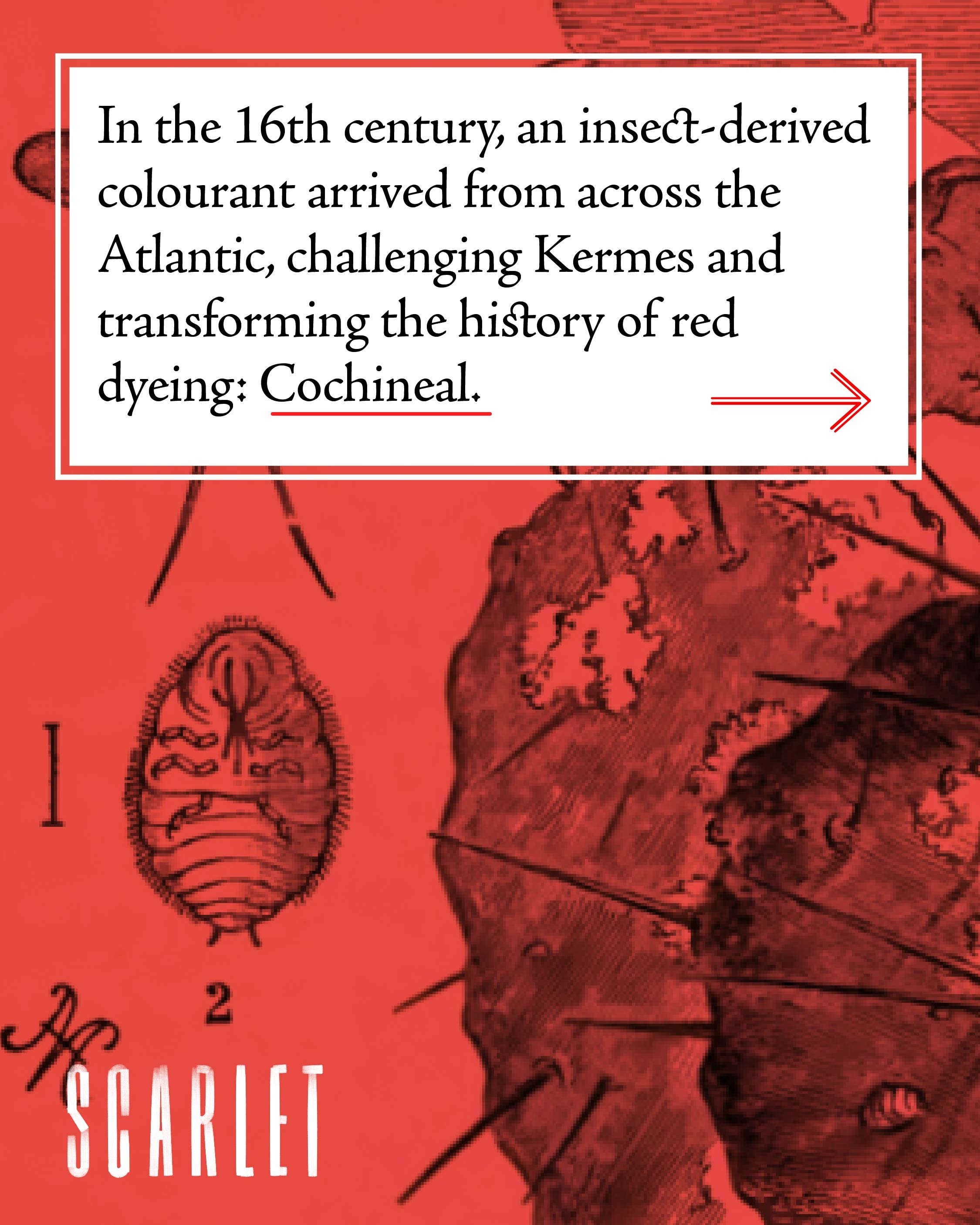 09-2026-scarlet-post-01-01.jpg