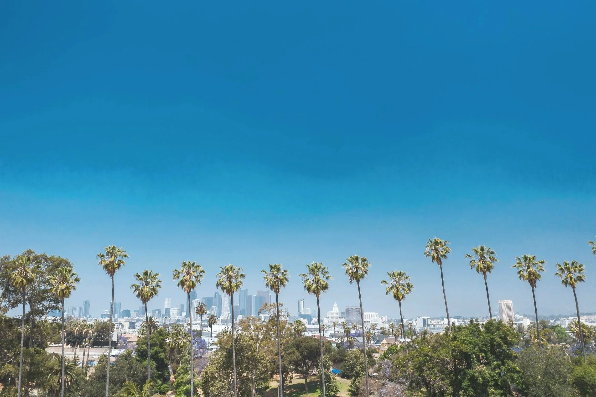 Medical Office Space for Rent in Los Angeles (2025 Guide): Best Areas, Costs &amp; How to Choose the Right Space