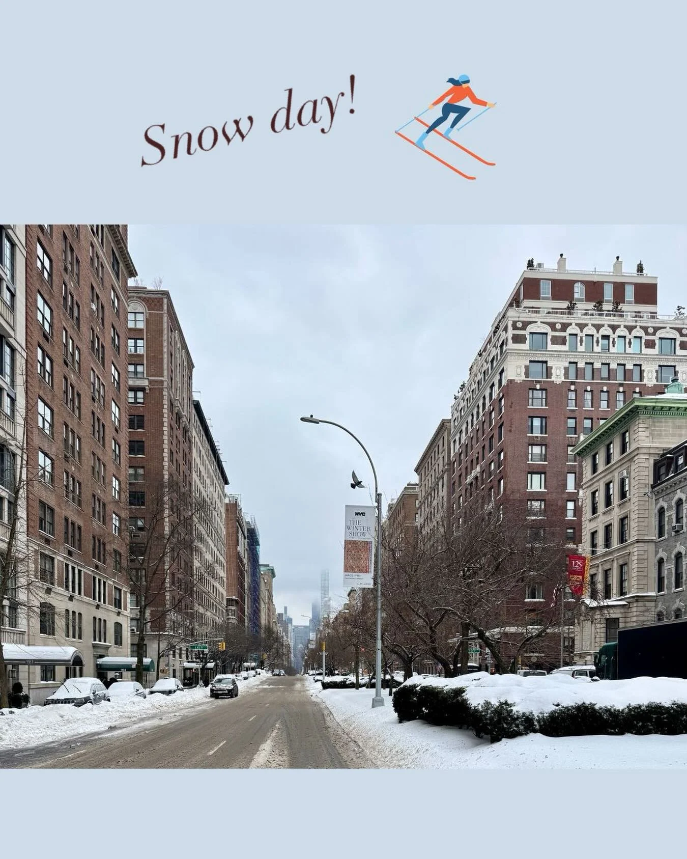 A heartfelt thanks to the New Yorkers who braved the snow to support our Wallace Hall show - some even skiing down Park Avenue to get there. ❄️⛷️

.
.
.
.
.
.
.
.
.

#annparkecollection #antiqueshow #nyc