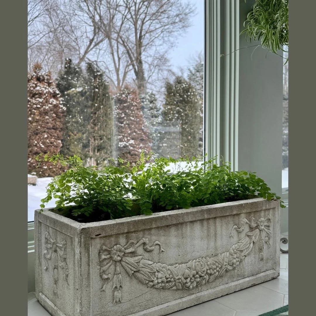 Our February solution: bring the garden indoors 🌱
A classic stone trough filled with fresh greens - more garden pieces will be joining the Collection in the coming weeks&hellip; stay tuned. #annparkecollection #antiques #antiquesofinstagram
