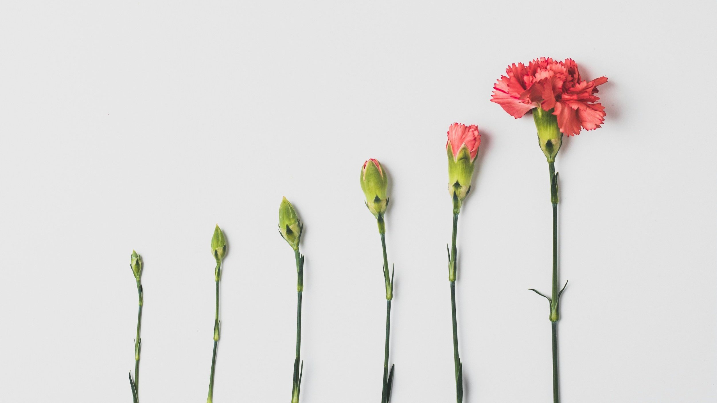 7 Steps to build the life you see in your future