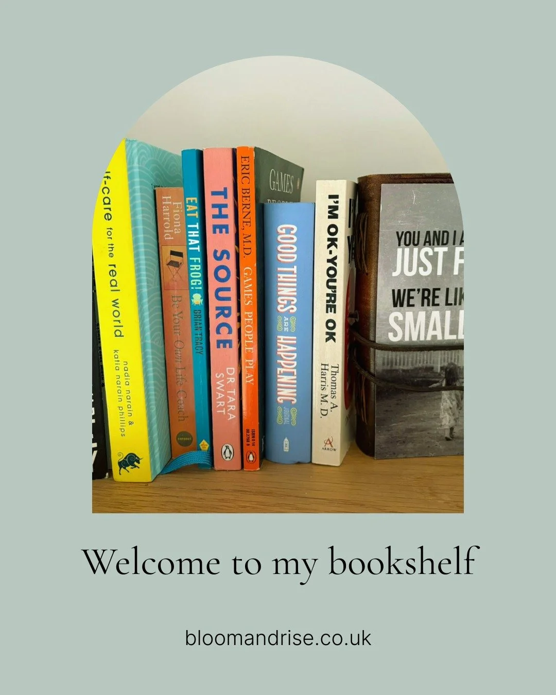 Welcome to my bookshelf. These aren&rsquo;t props. They&rsquo;re the dog-eared, coffee-splashed companions I keep coming back to. Each one has been read, scribbled in, and lived with, not just shelved for show.

If a book helps me understand why we p