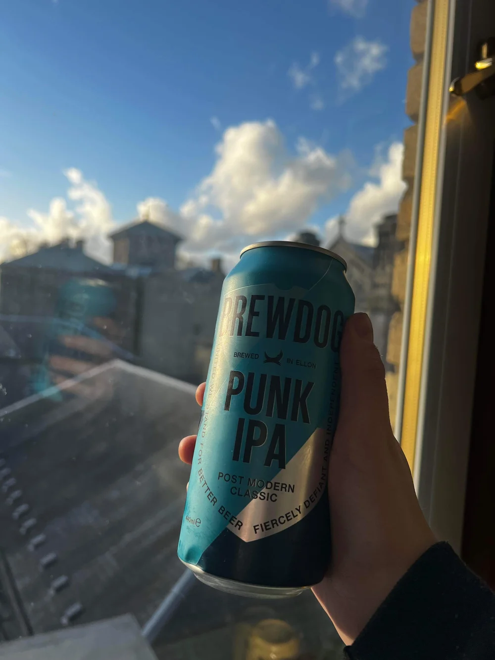 Brewdog Punk IPA Beer Review The Controversial Craft Brewers — OnlyCans