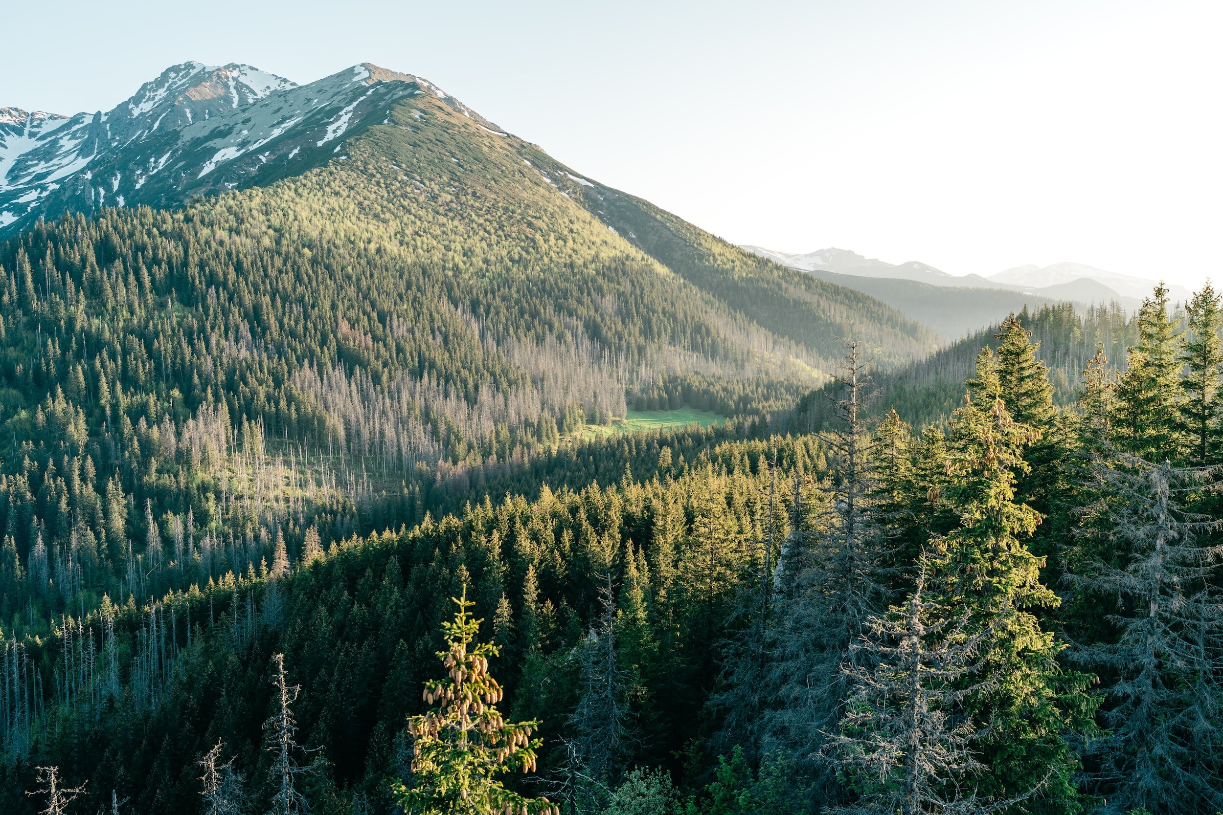 Make Your Wisconsin Adventure Session Special