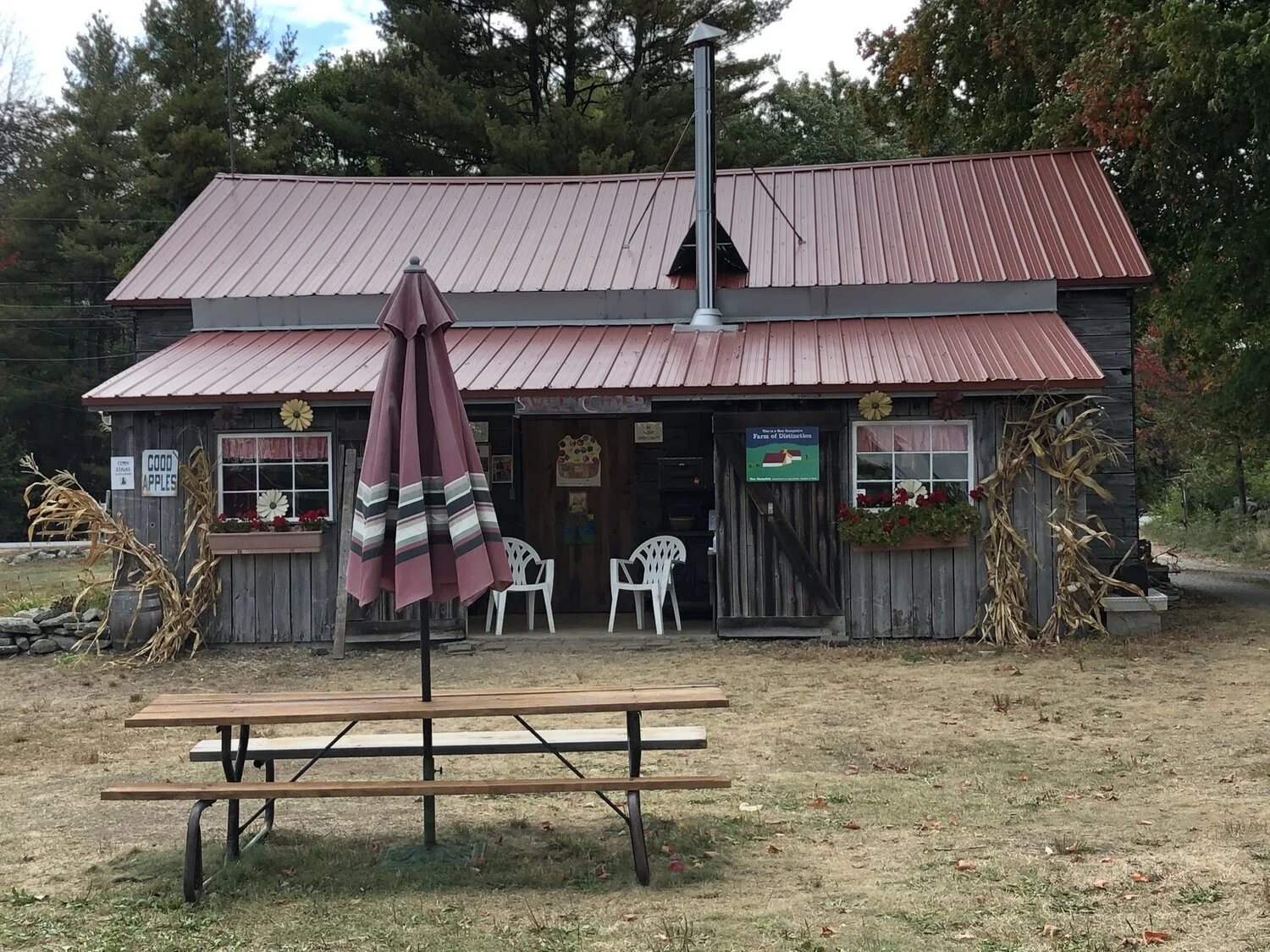 5 Best Apple Orchards in the Lakes Region — Experience the best of Winni and the NH's Lakes Region