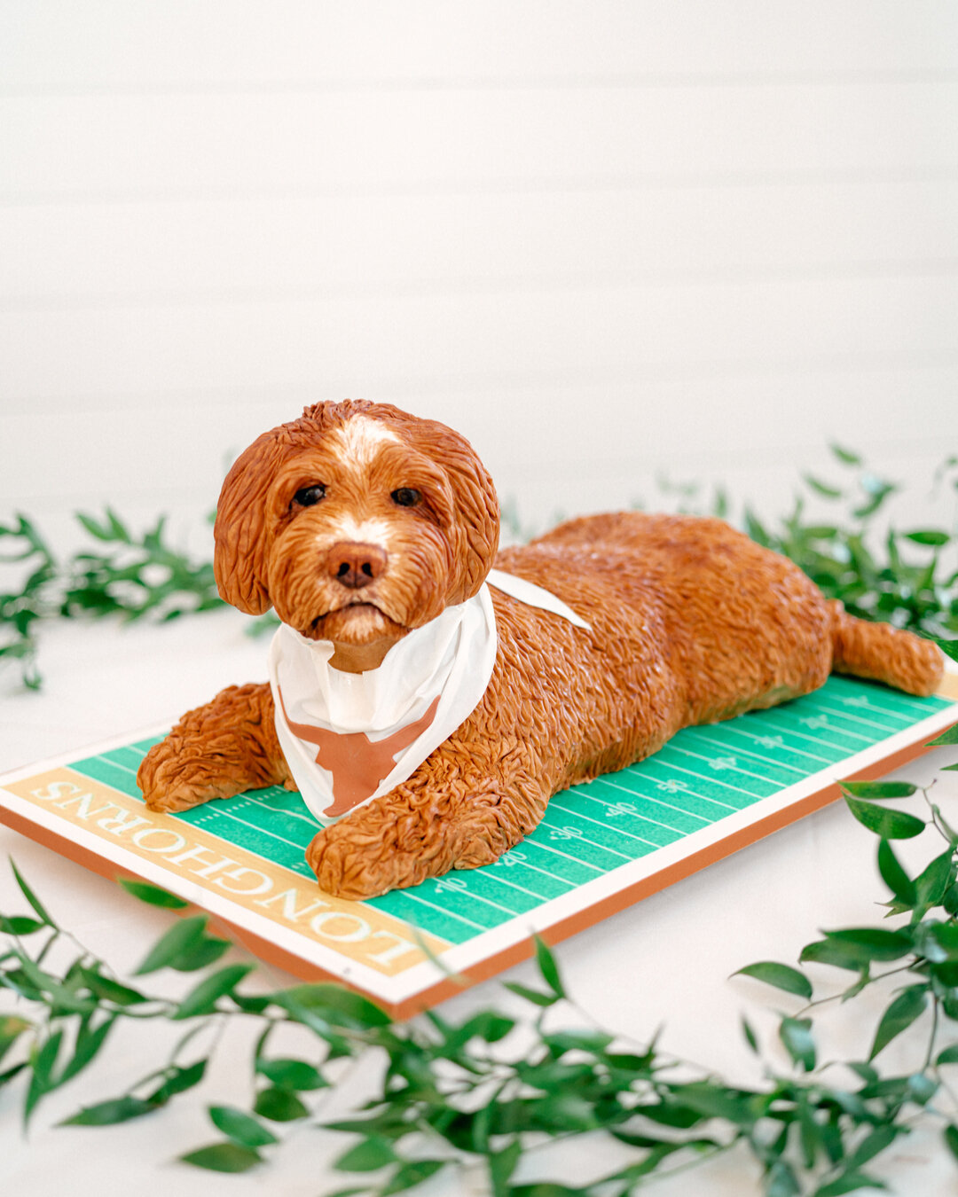 We love a good groom's cake, especially one that is as cute as this one! ​​​​​​​​
​​​​​​​​
We loved how E &amp; M included their love for UT football and their sweet pup!​​​​​​​​
​​​​​​​​
Venue:  @maesridge ​​​​​​​​​​​​​​​​
Coordination:  @simplyxoev