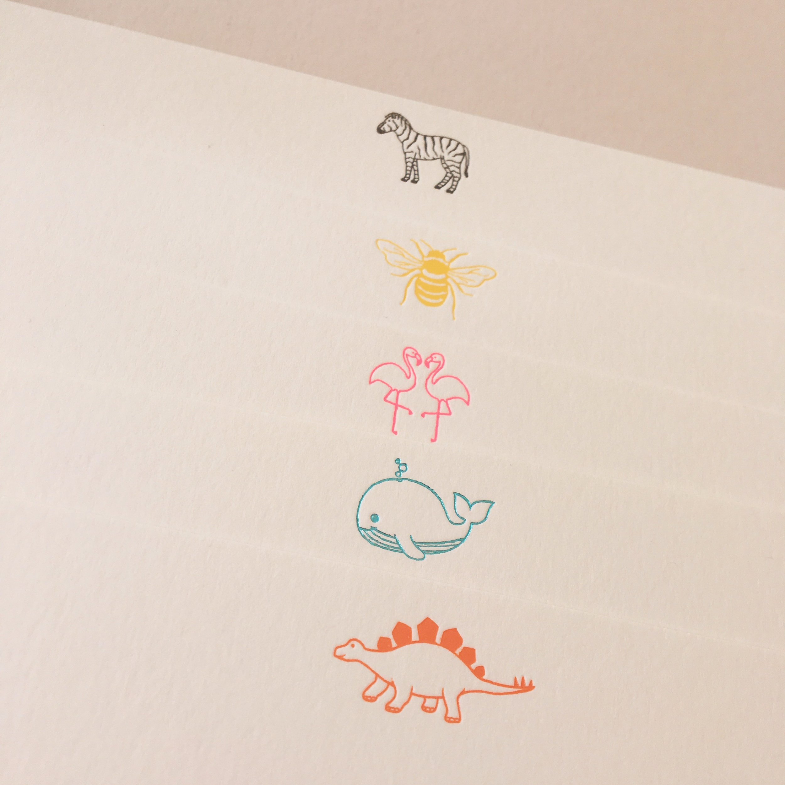 ANIMALS 2.jpeg