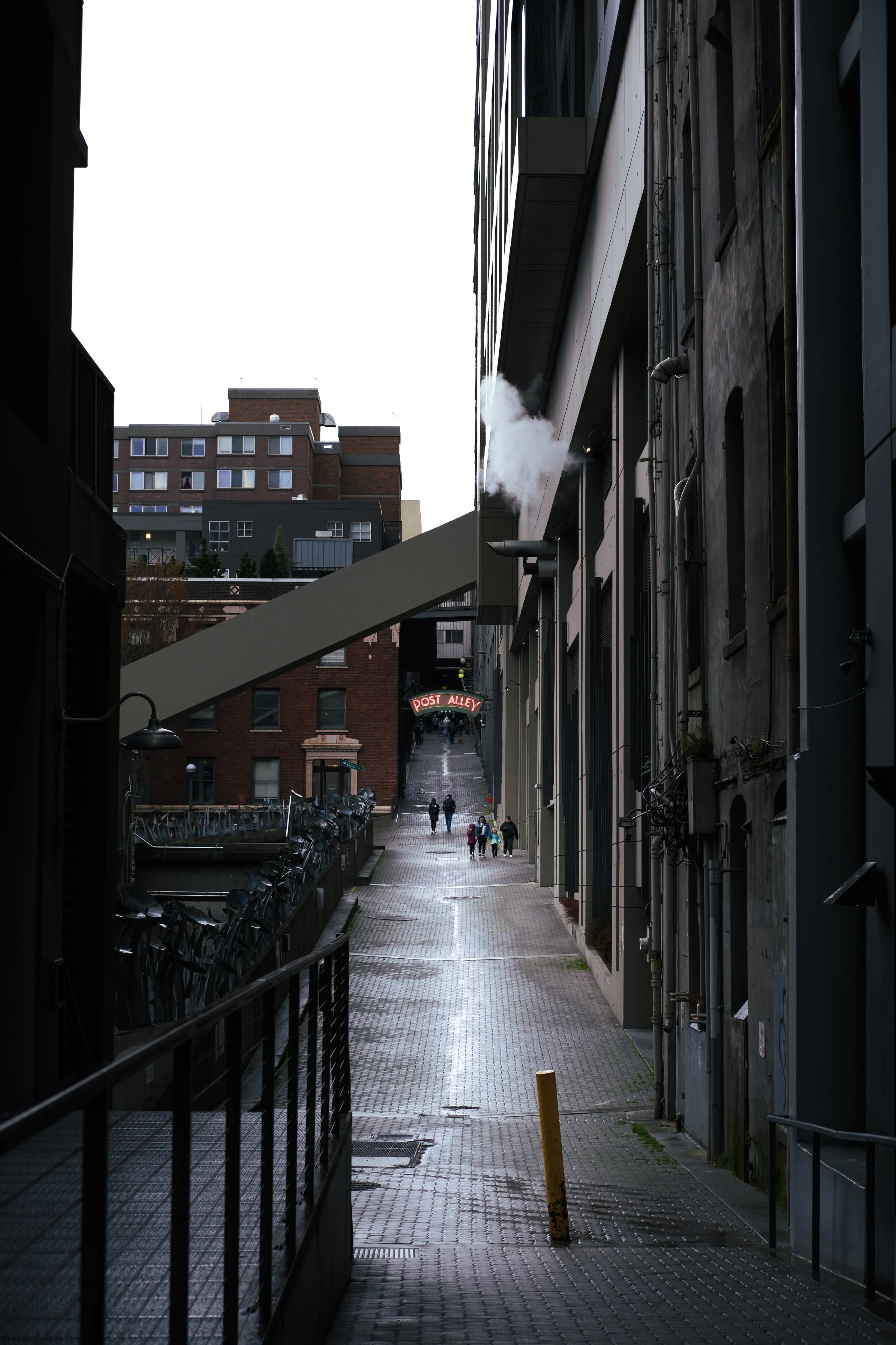DSCF0533.jpg
