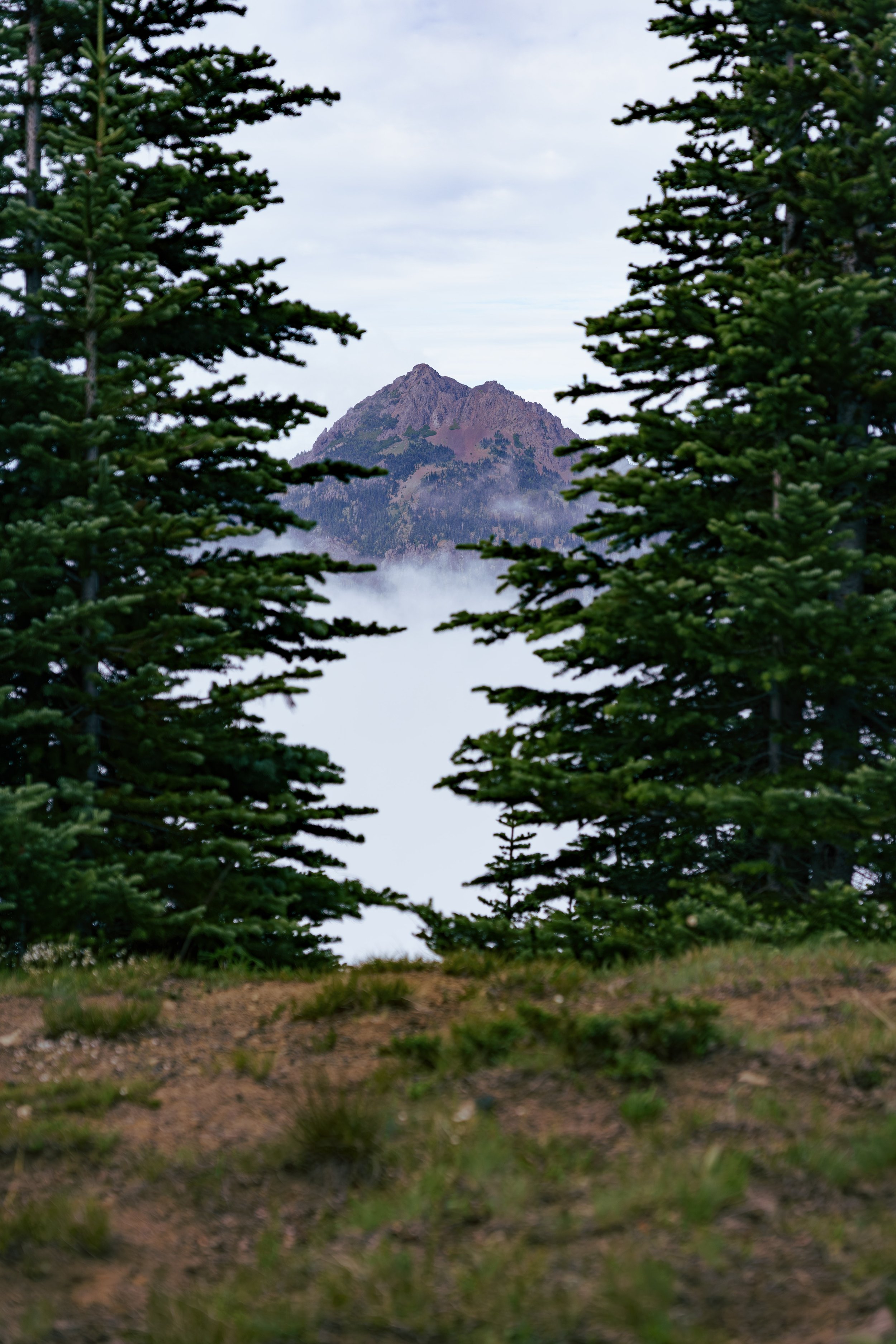 DSC06754.jpg