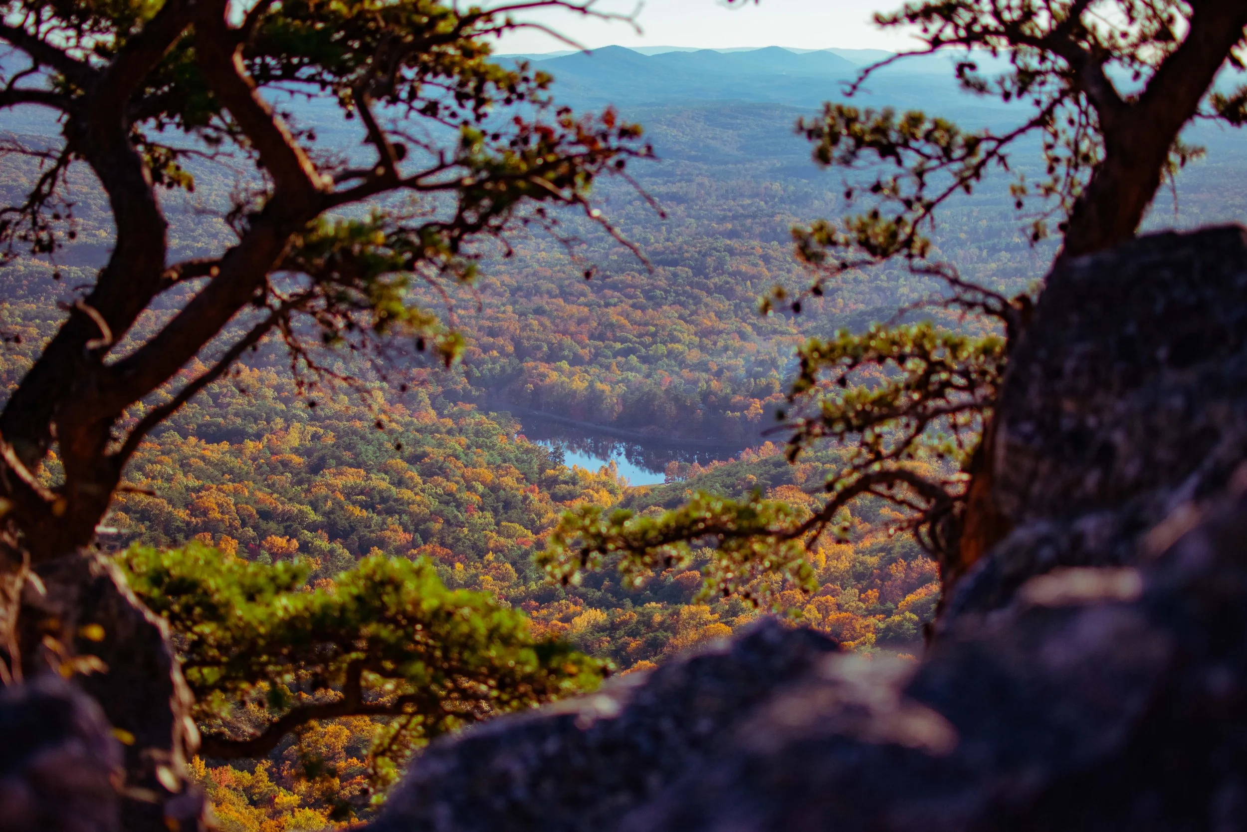 cheaha trees rocks.jpg