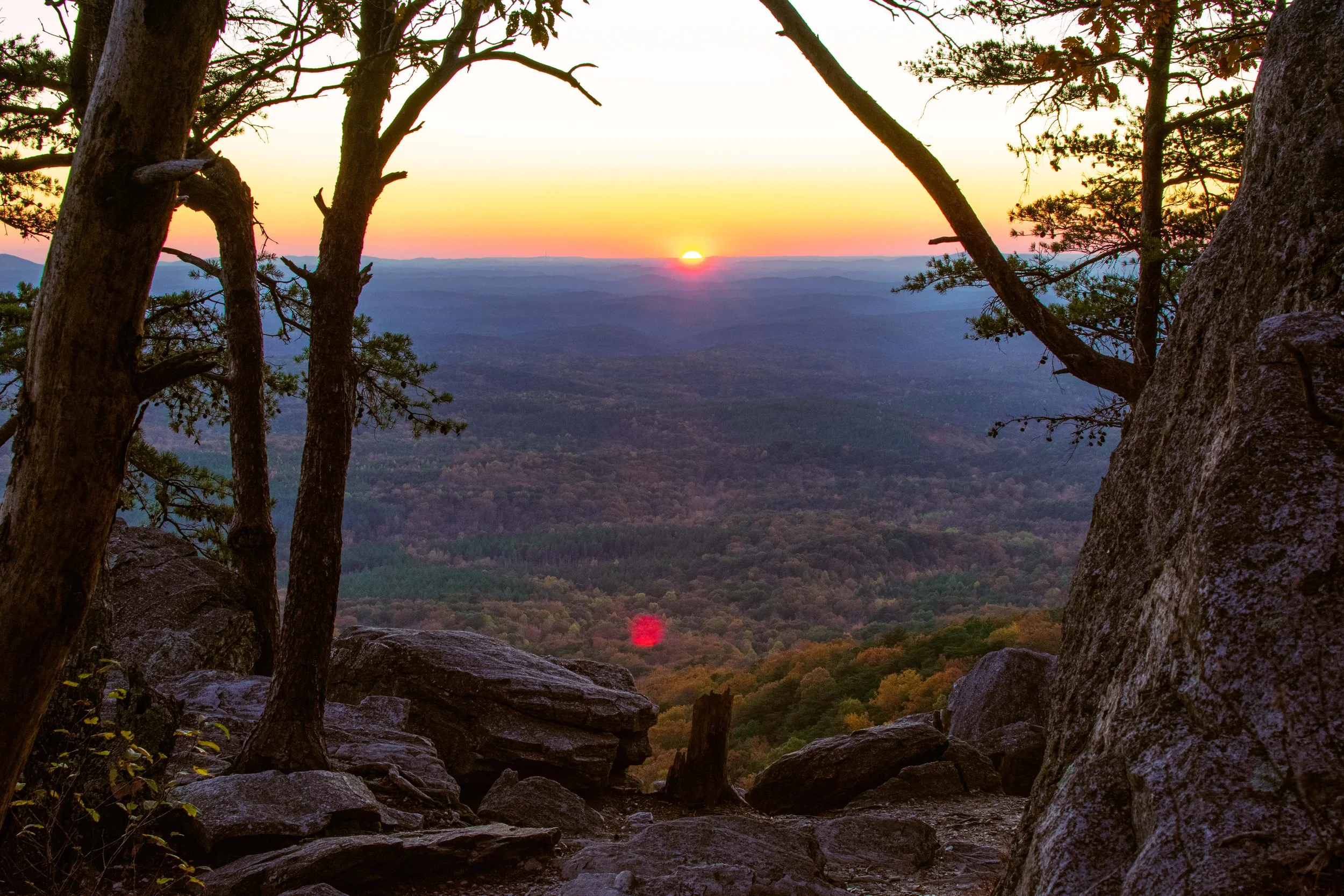 cheaha sunset trees.jpg