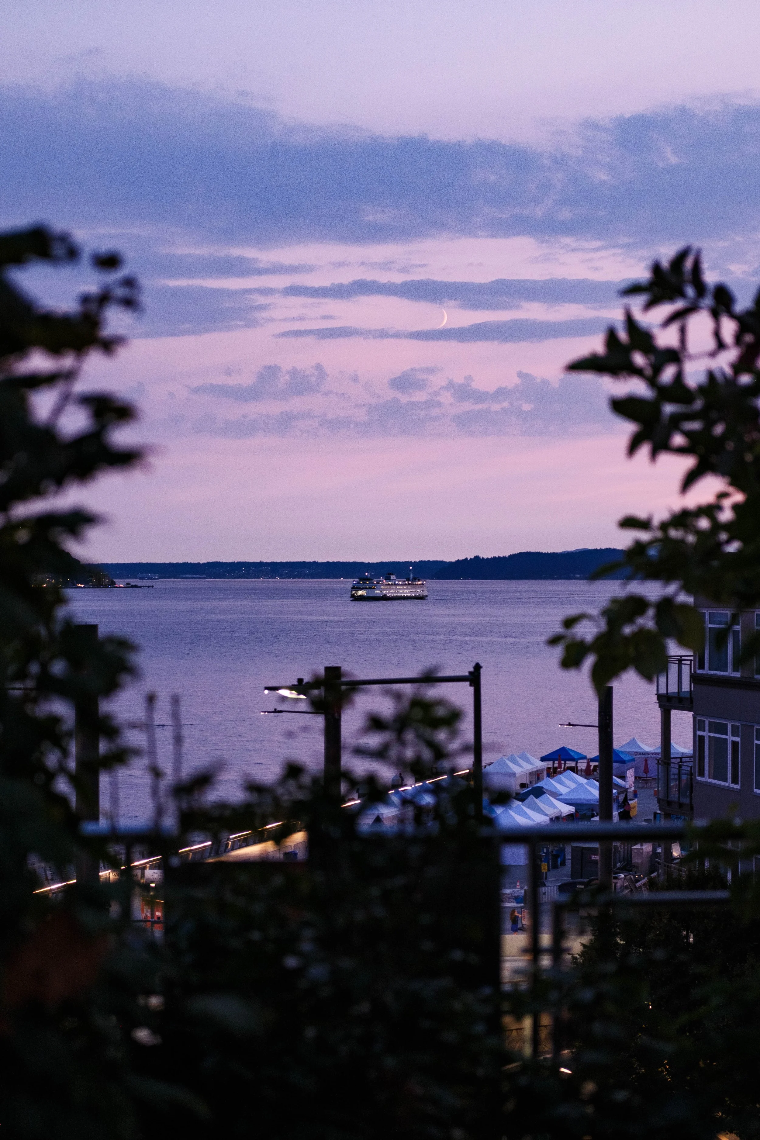 DSCF1540.jpg