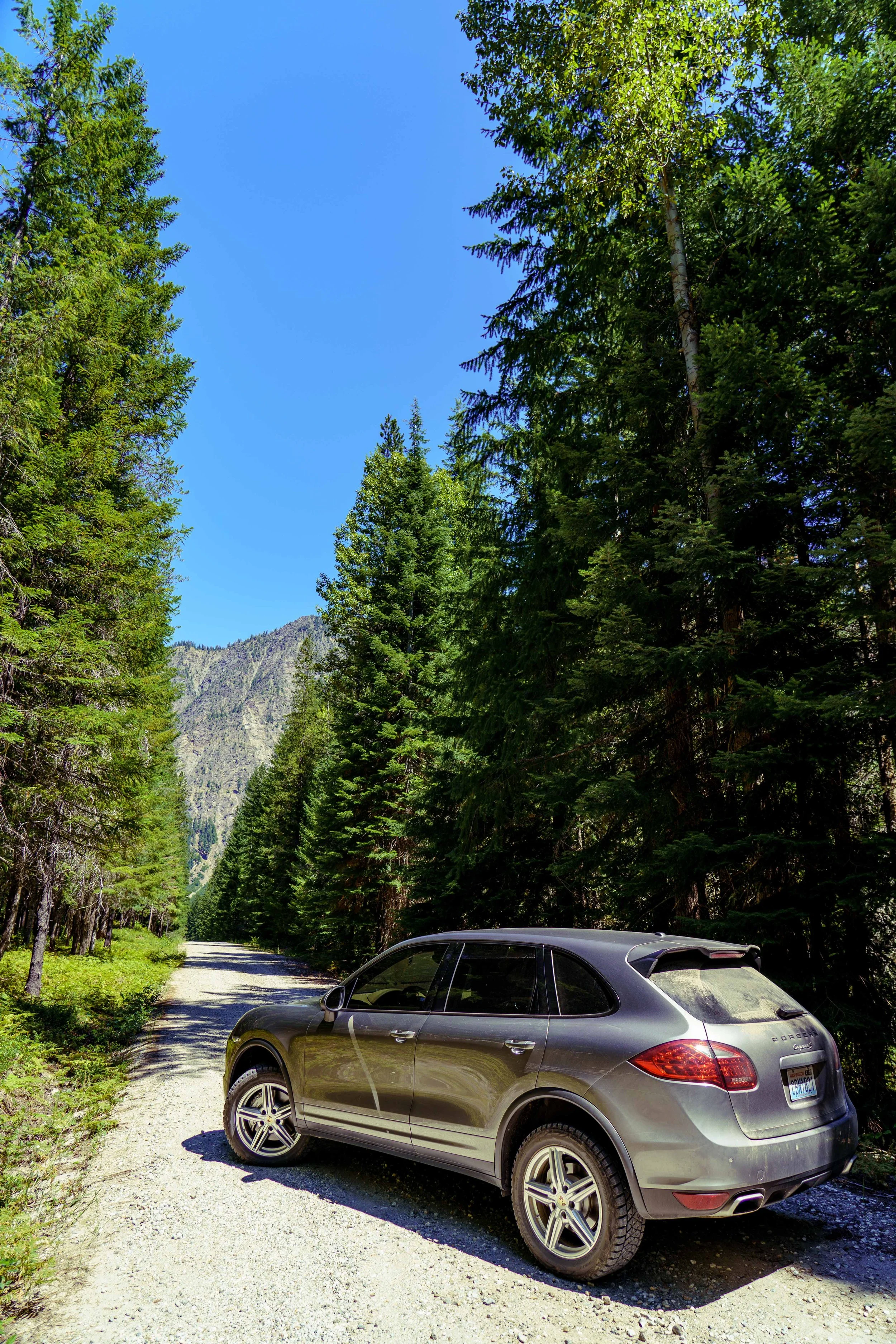 Cayenne on trail.jpg