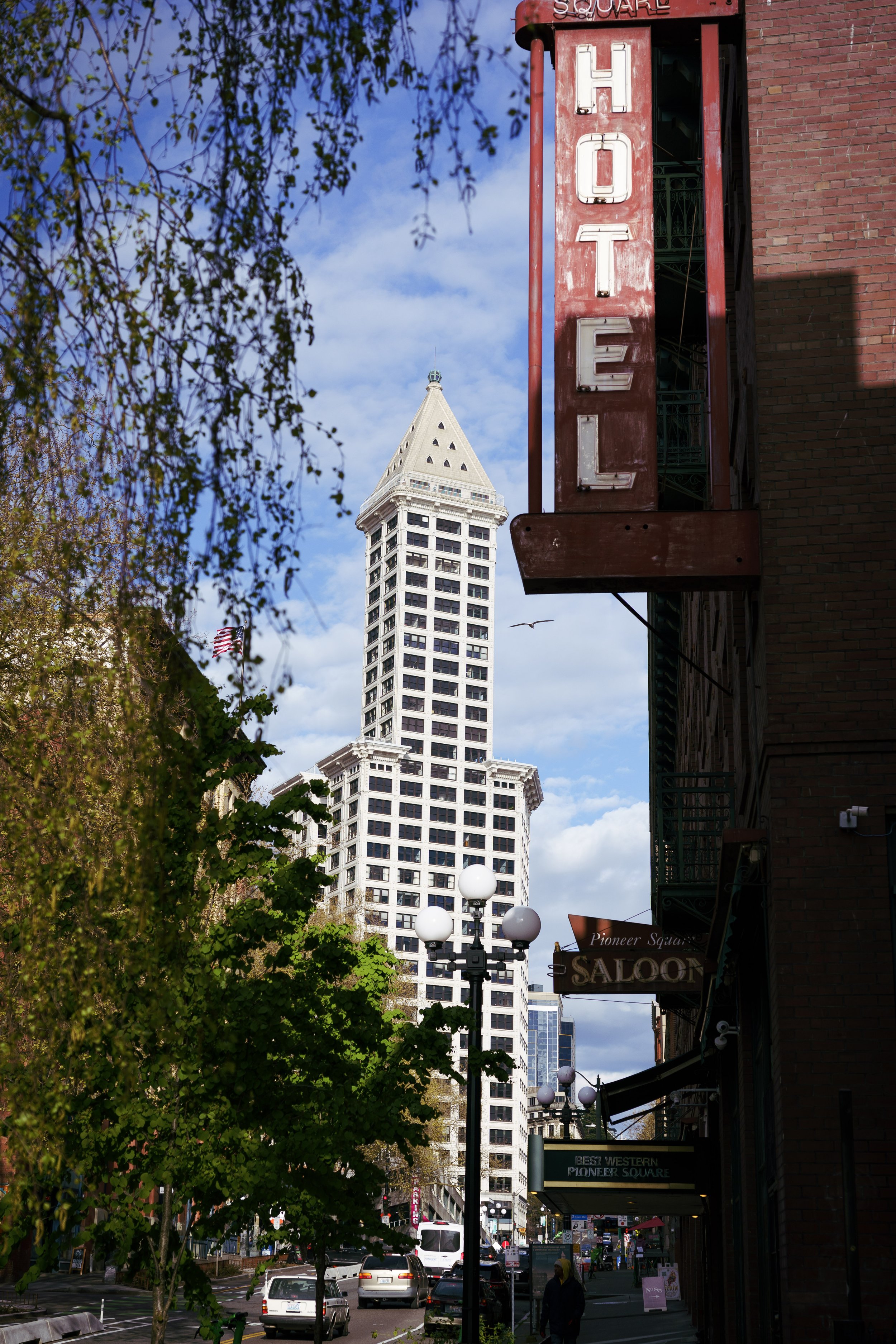 DSC06120.jpg