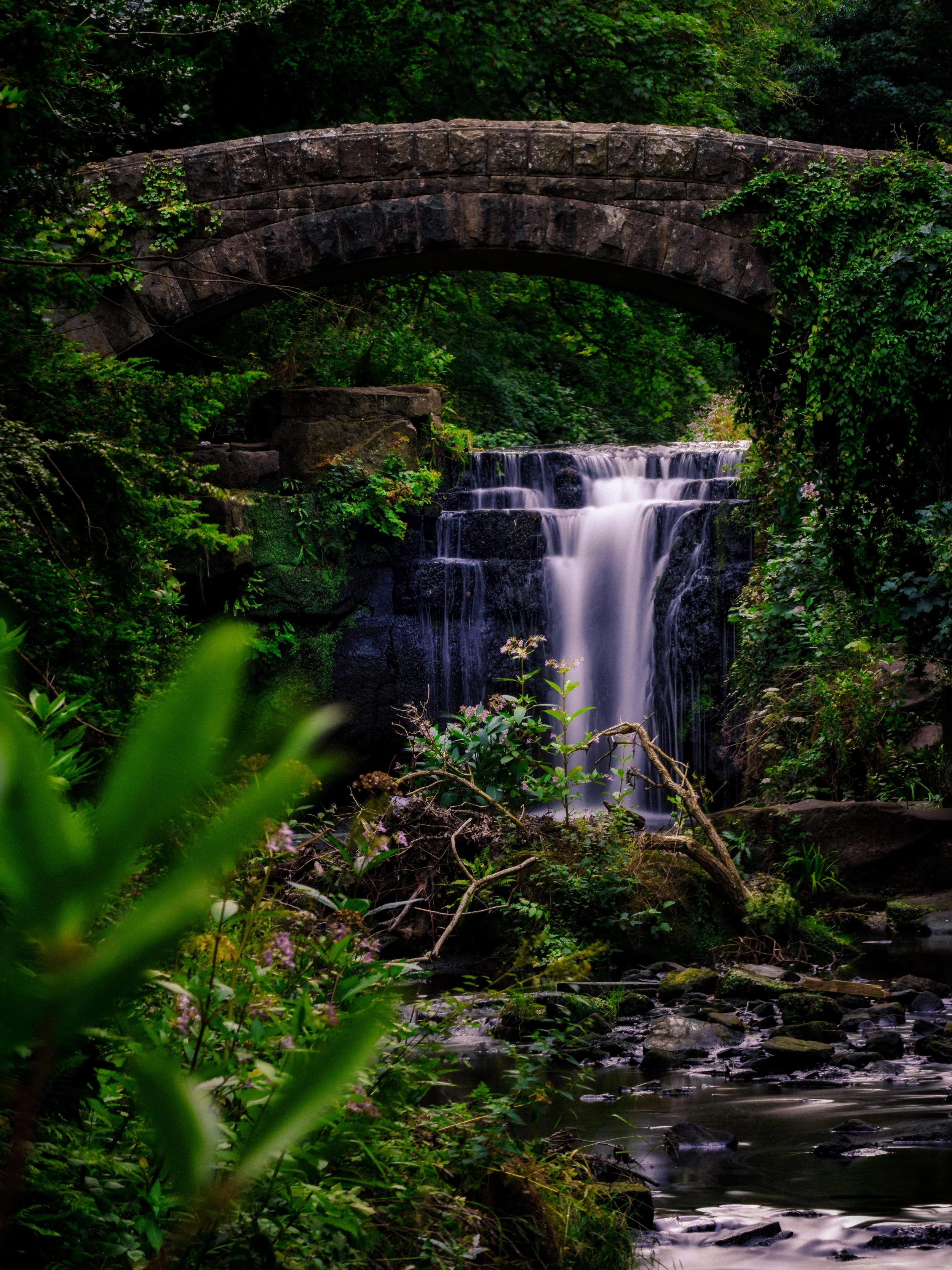 Jesmond Dene-2.jpg