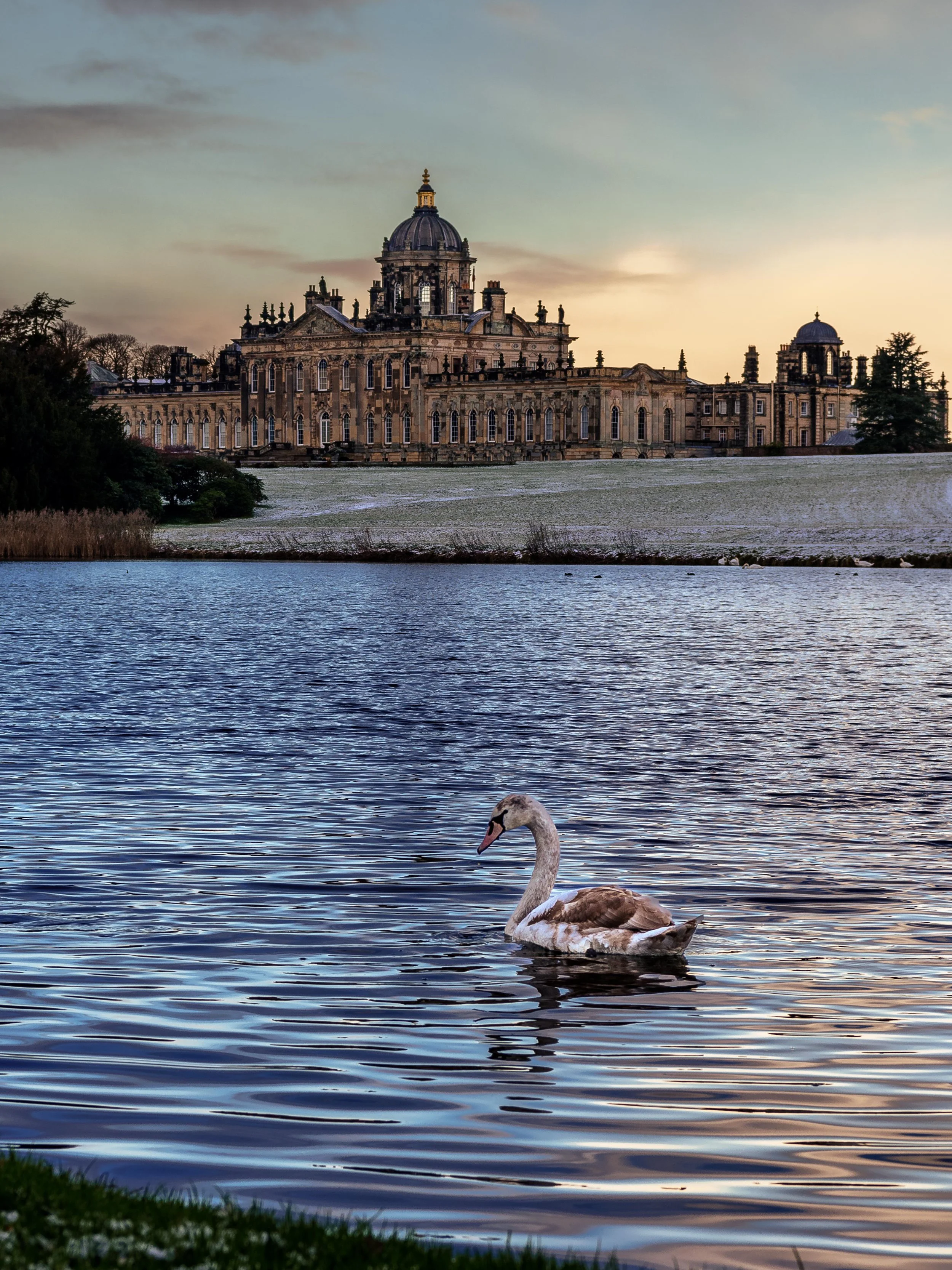 Castle Howard winner.jpg