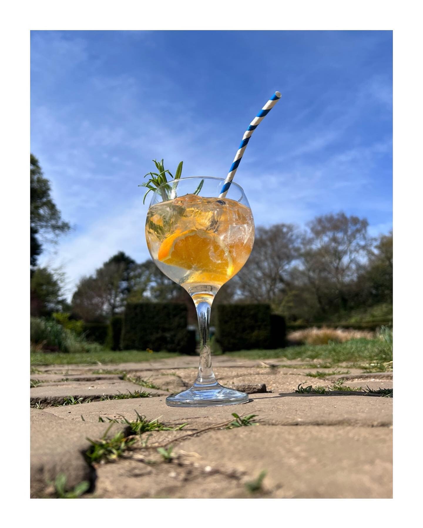 Come and enjoy a G&amp;T on our sunny terrace with amazing views of the maze, open air theatre and the sea! 🌞🌊

#ginoclock #timeforgin #sunnydays #spring #springhassprung #summer #ginandtonic #brighton #drinkinbrighton #dykeroadparkcafe #cafe