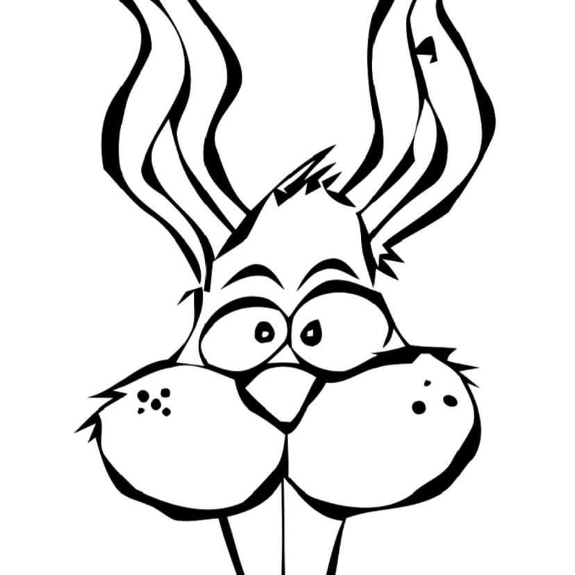 Fat Rabbit Customs
