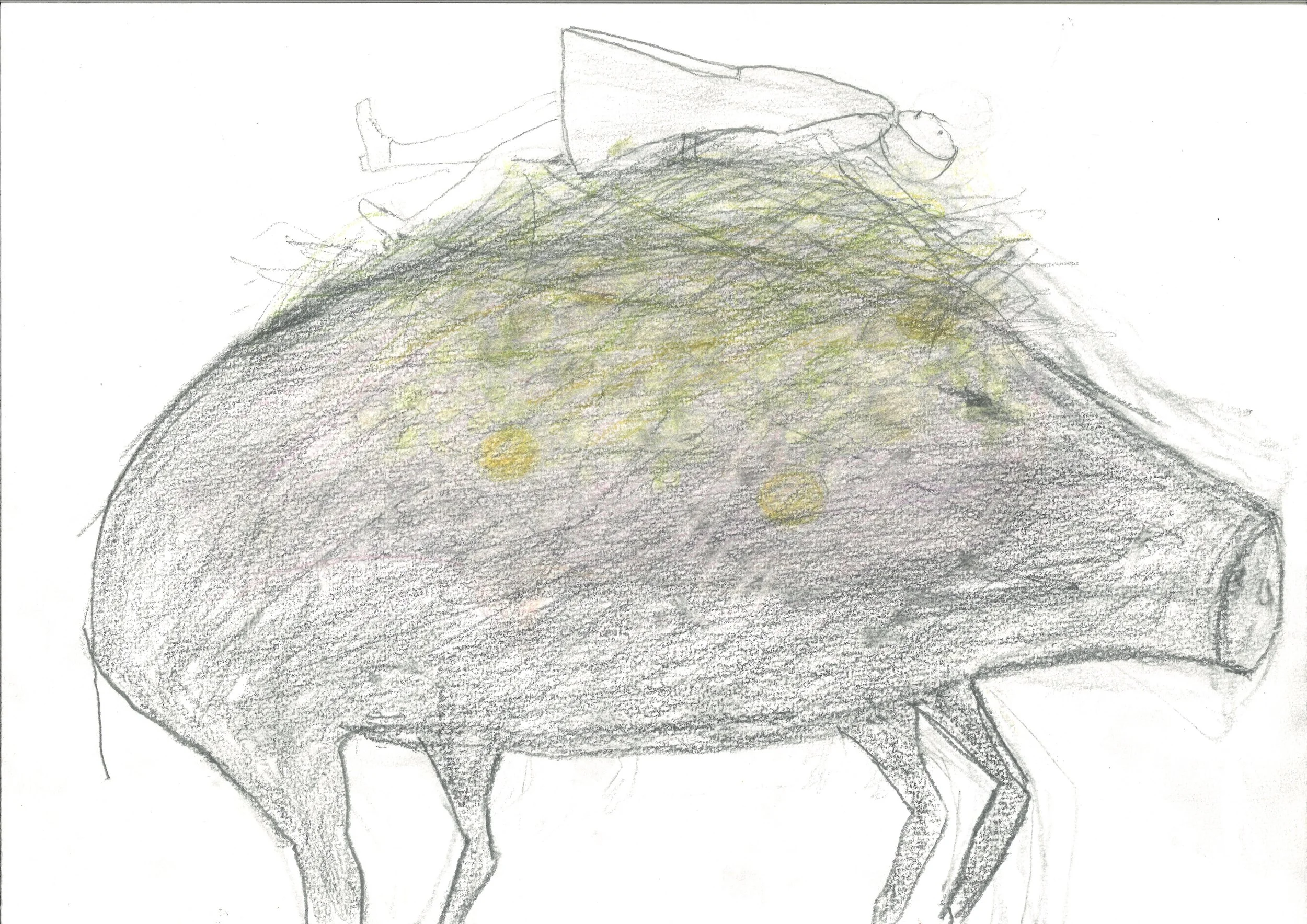 20260120151349_010.jpg