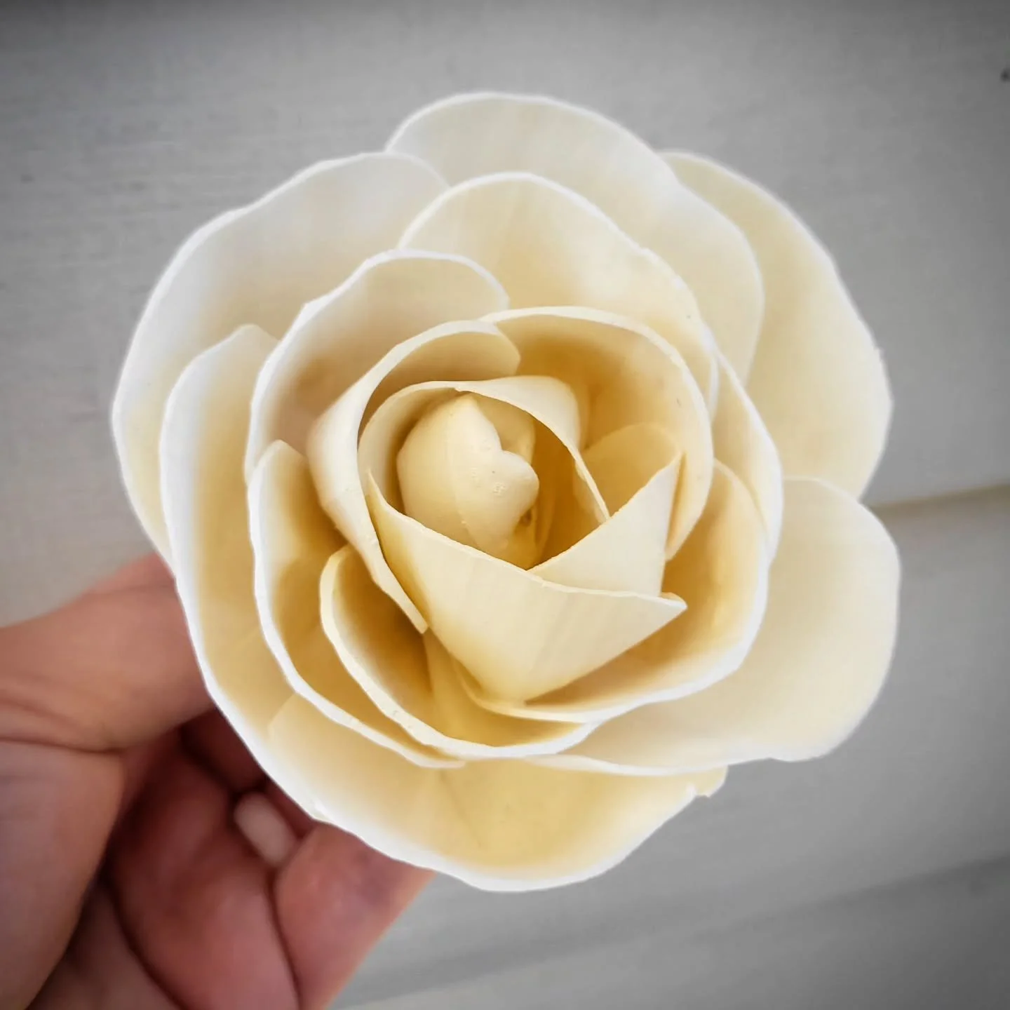 Can you believe this rose is made of wood? If I hadn't painted it myself, I may not believe it either! That's just how lovely and realistic these wood roses are.

Happy Monday, friends!