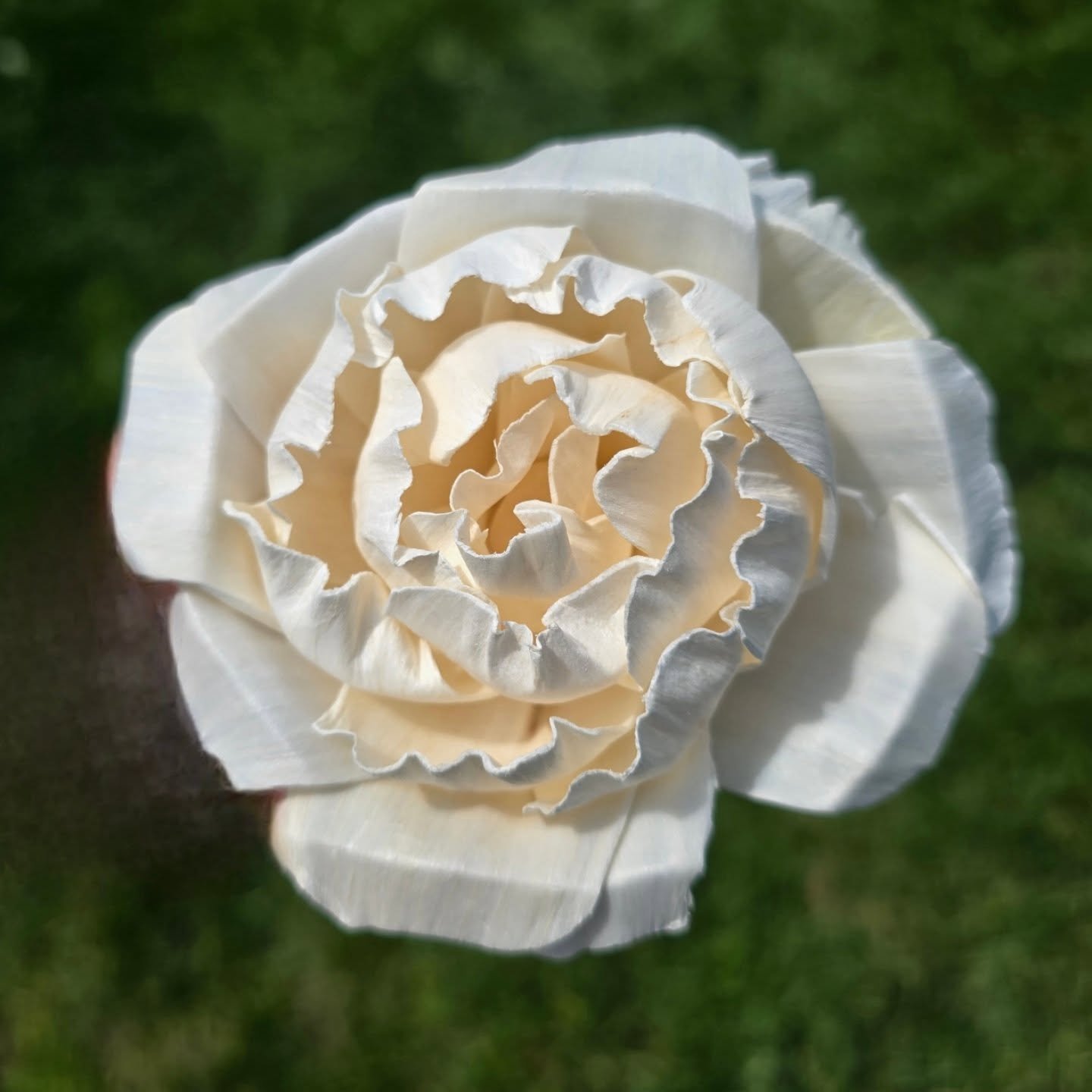 Wood peonies are one of those wood flowers you have to paint very carefully to preserve the curl of the petals. I'll be busting out the airbrush and some of my custom pastel paint to achieve the desired look. It's very rare for me to use paint straig
