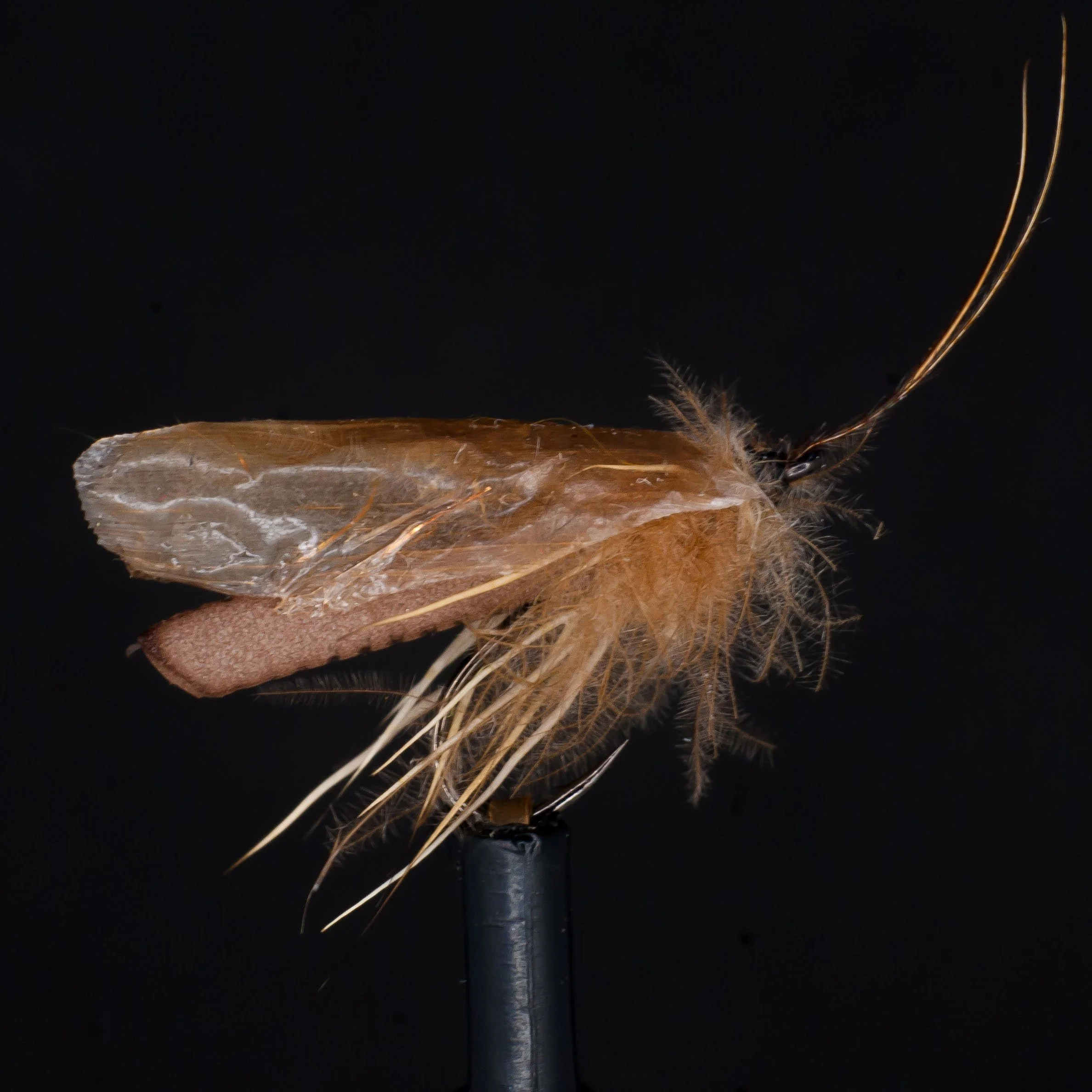 swiss straw caddis_edited.jpg