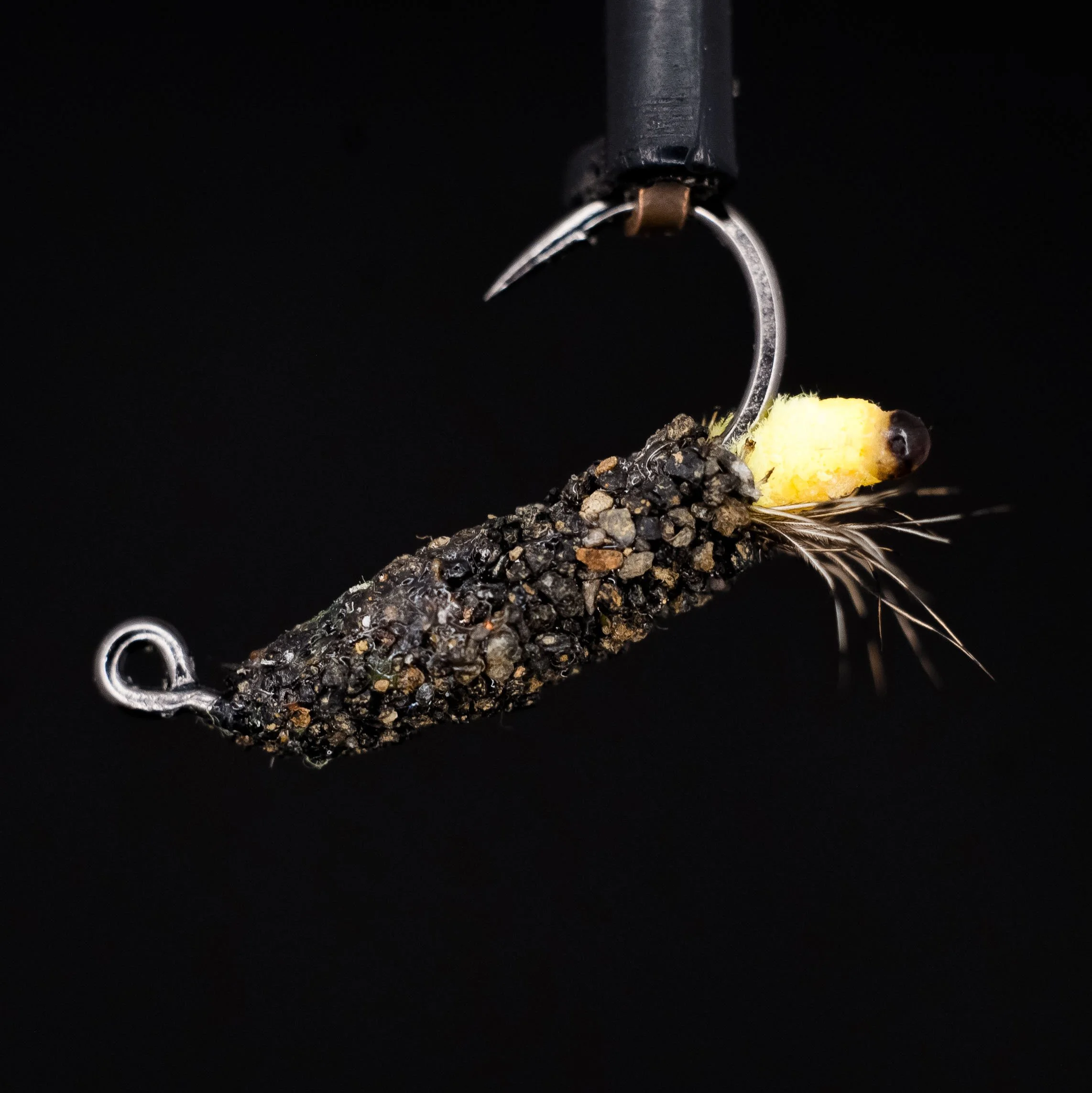 peeping caddis real.jpg