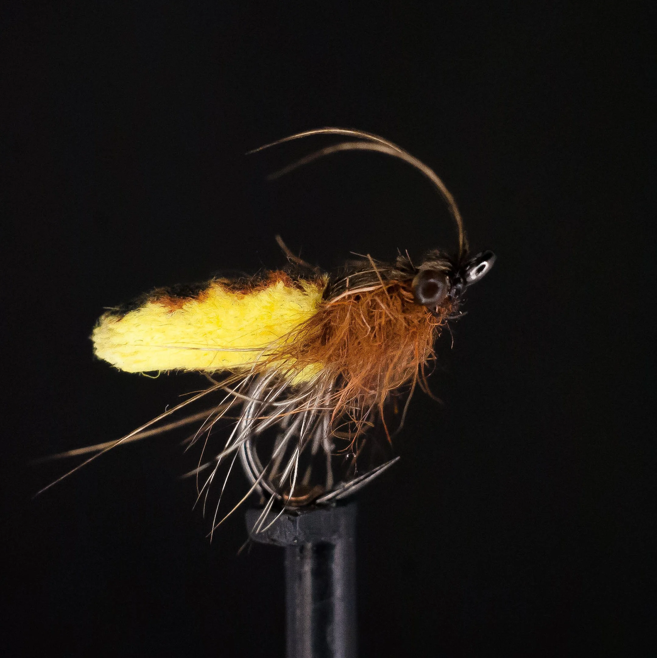 moppu caddis insta.jpg