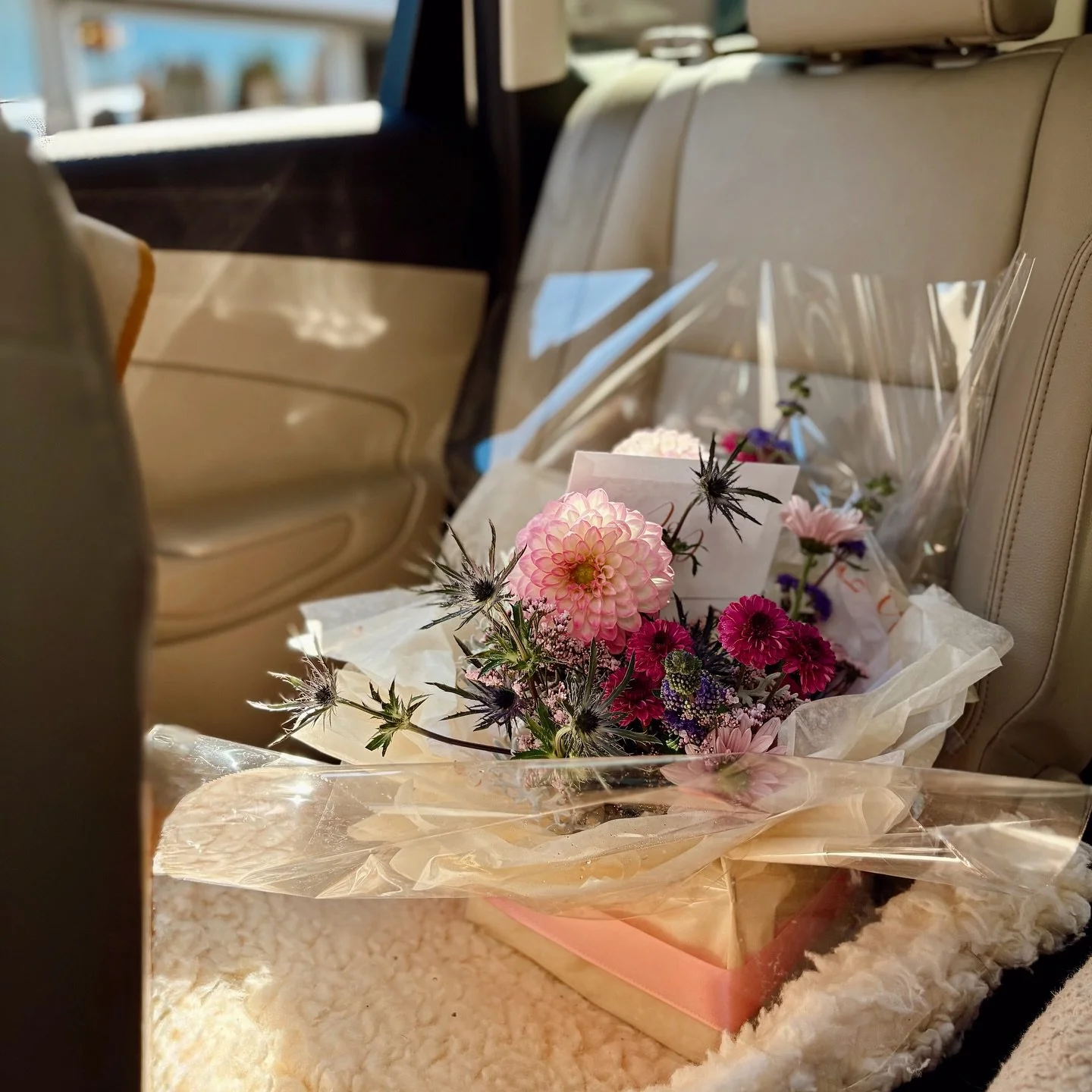precious cargo 🎁