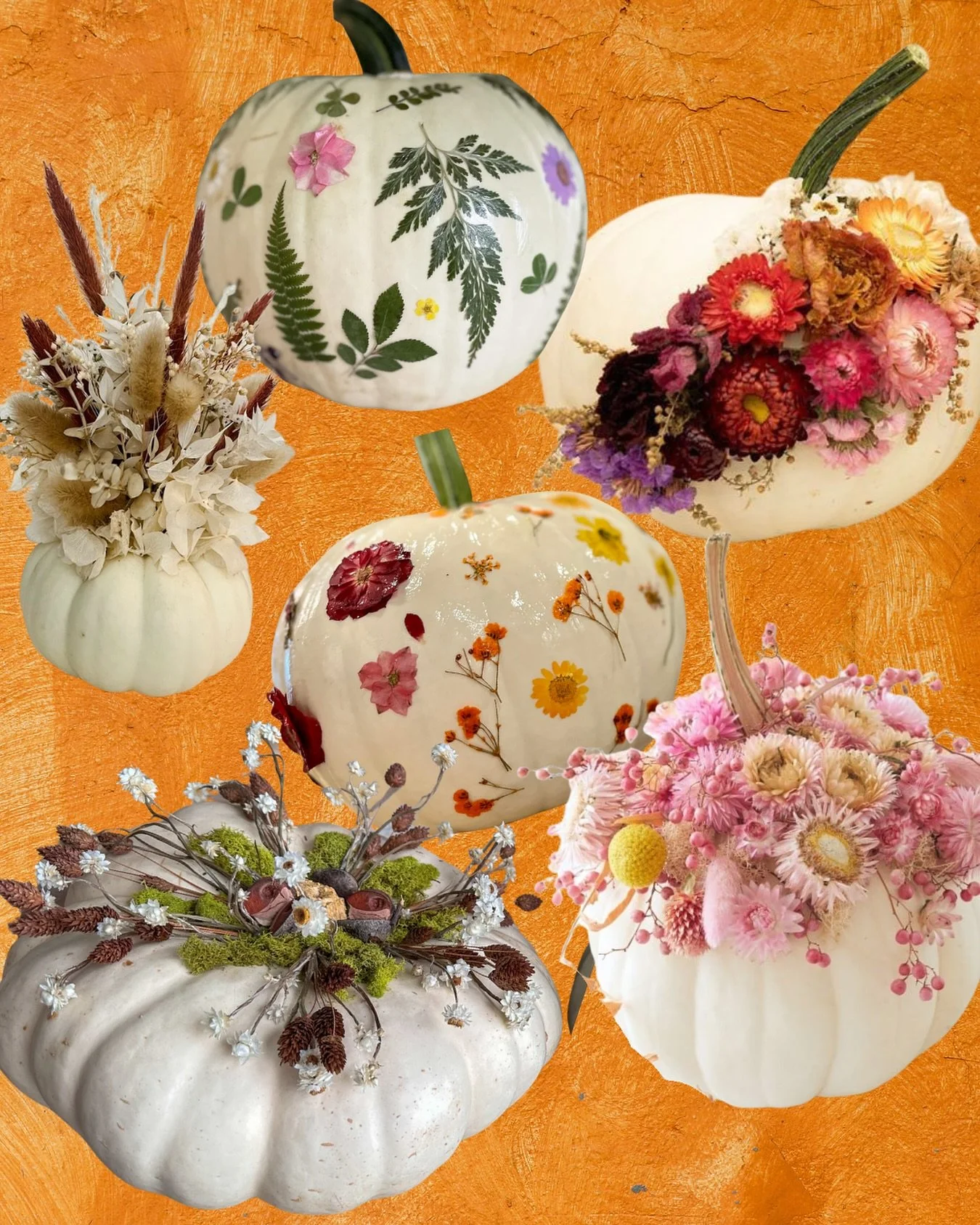 The perfect HALLOWEEN workshop 🎃👻
Come decorate pumpkins with us at The Sporting Club at the Bellevue 🎃 Let&rsquo;s get creative, cute n&rsquo; funky together! 🍾🥂

Link bio ✨
@sportingclubbellevue