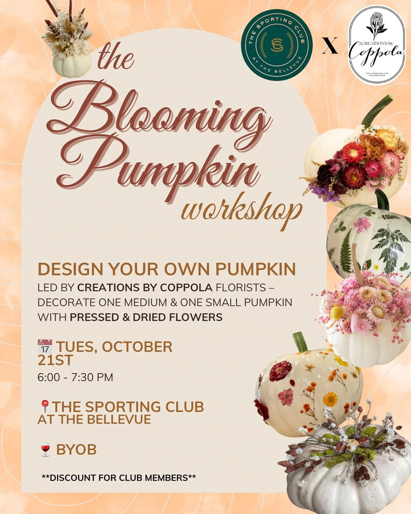 Let&rsquo;s decorate some pumpkins!! ✨🎃

link in bio for tix 
**discount for Sprorting Club members