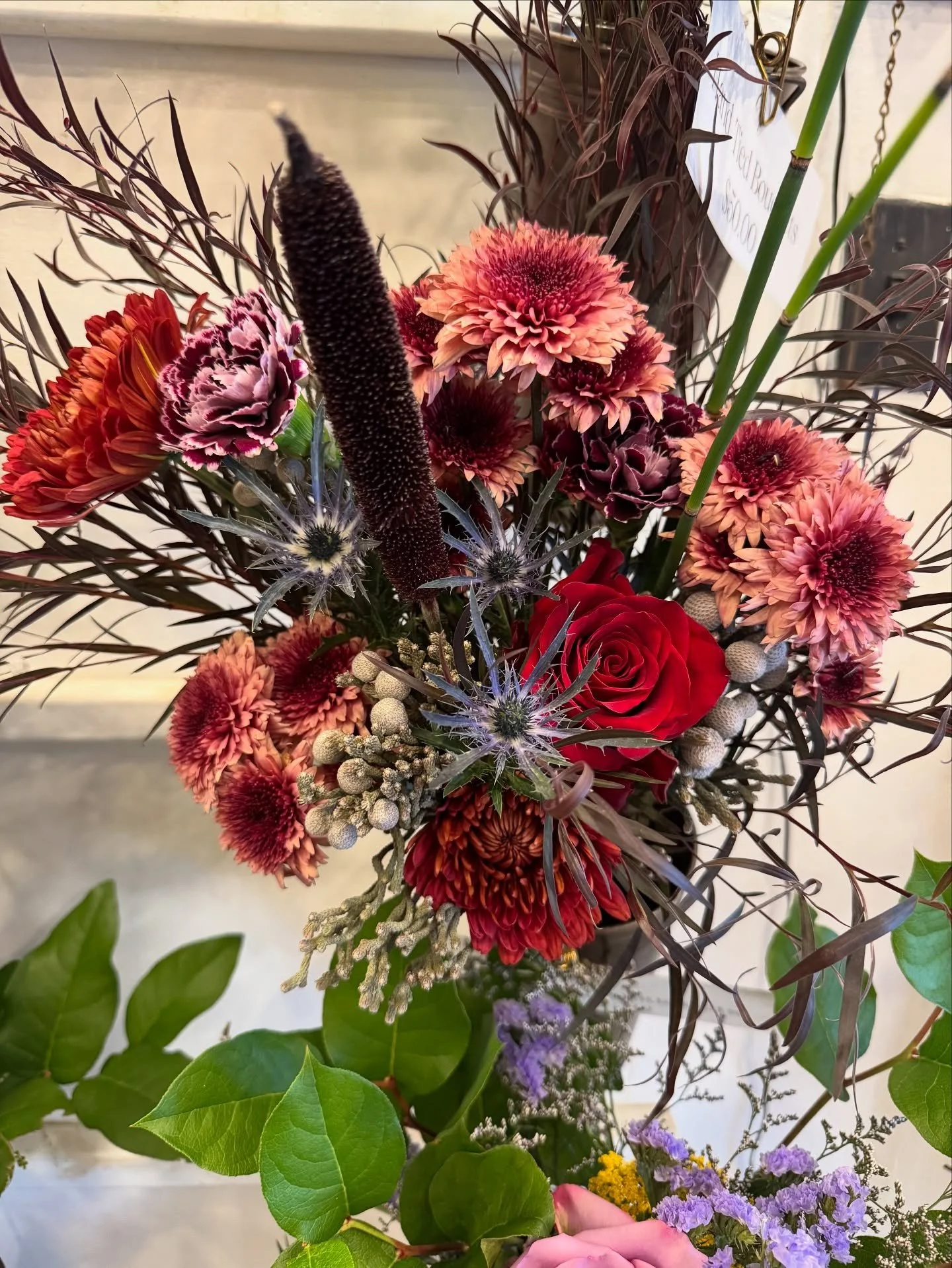 Sunday blooms ☀️💐