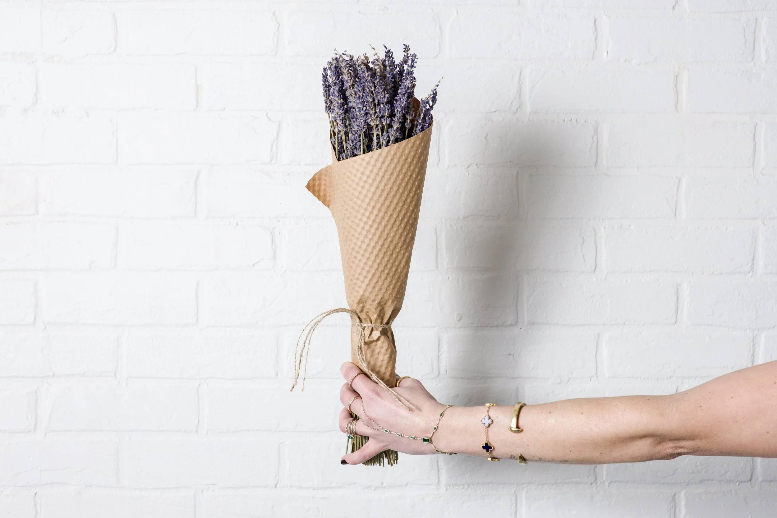 Studio Session-416 (1).jpg