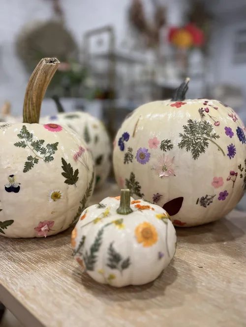 botanical+pumpkin.webp